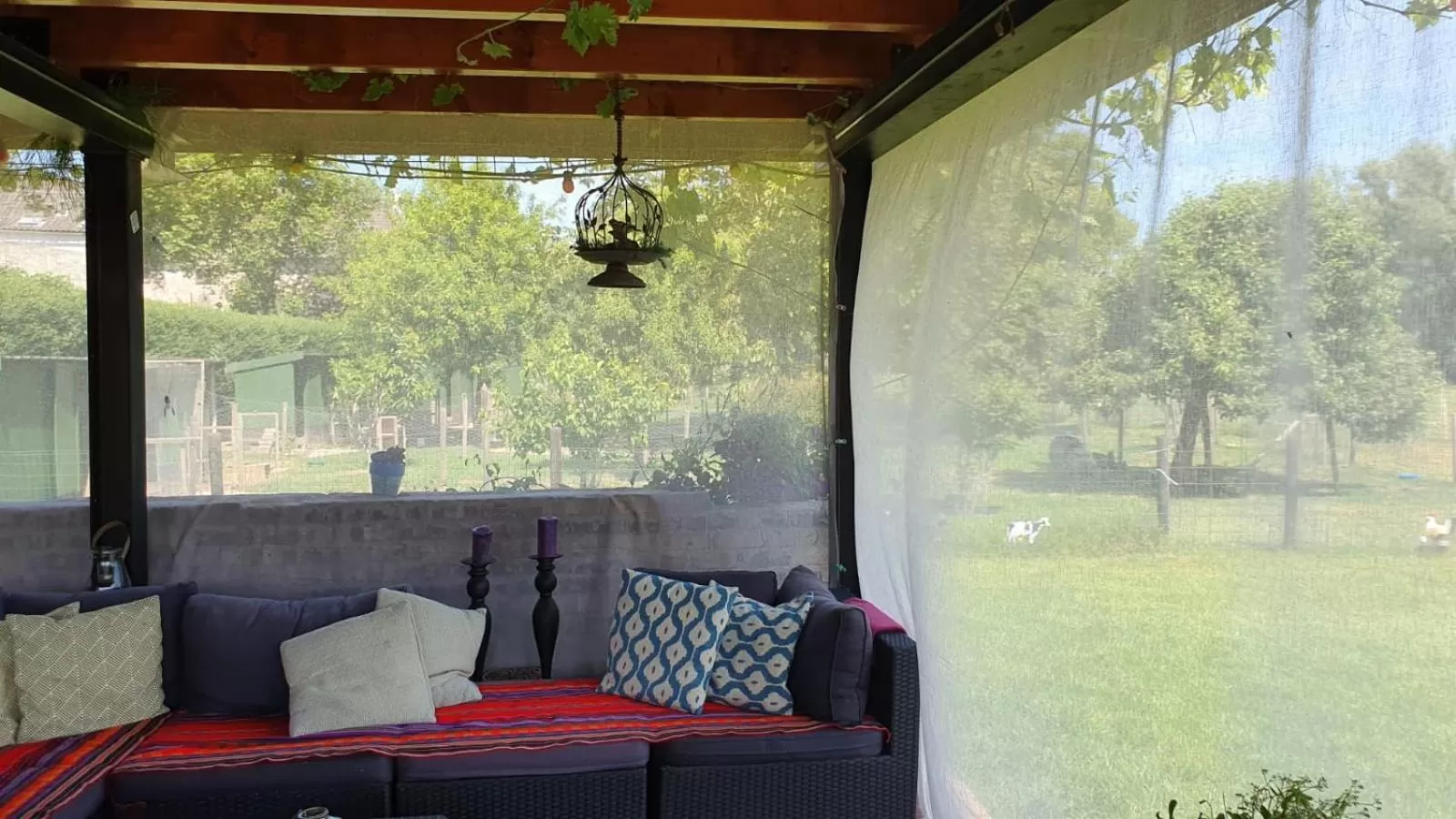 Patio in Casa Tranquila