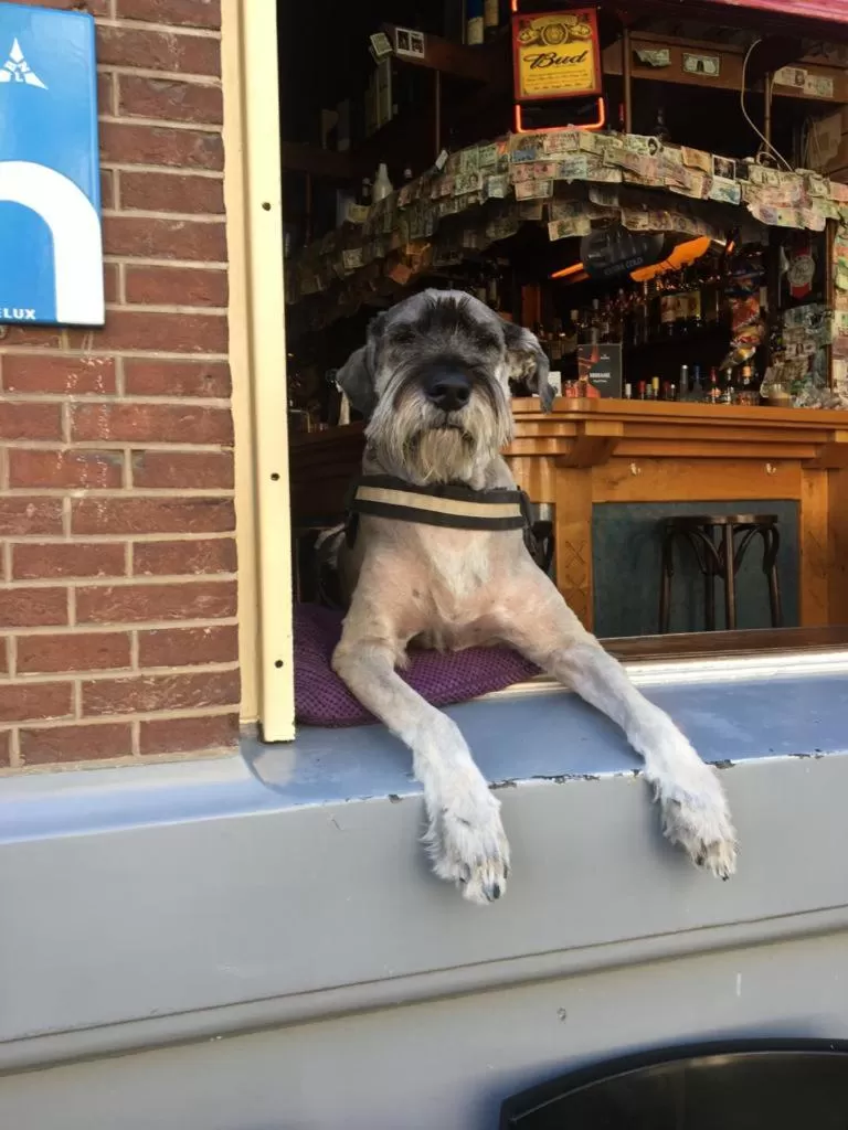 Lounge or bar in Hotel & bar Royal taste Amsterdam