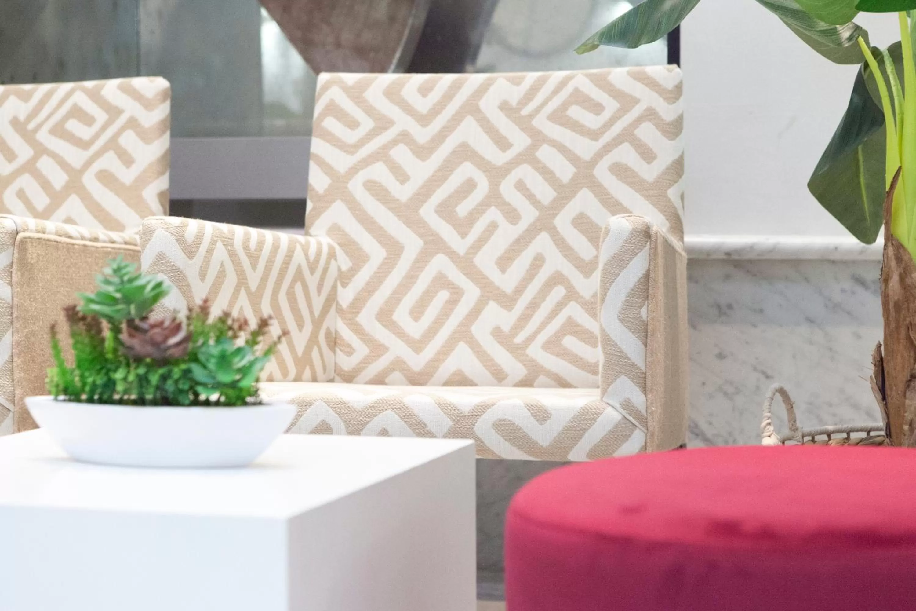 Lobby or reception in Petit Palace Santa Cruz