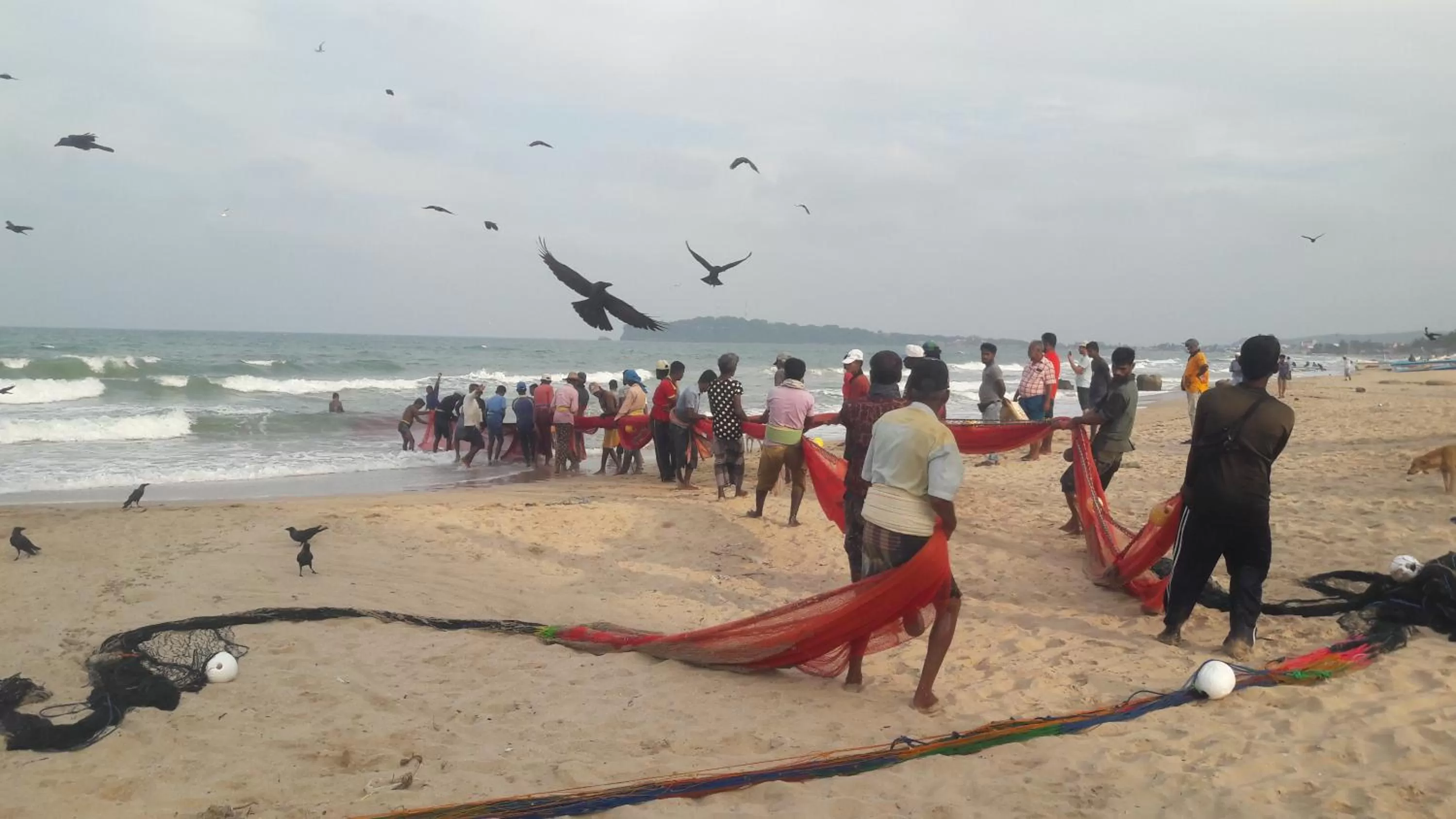People, Beach in Blackstar Inn