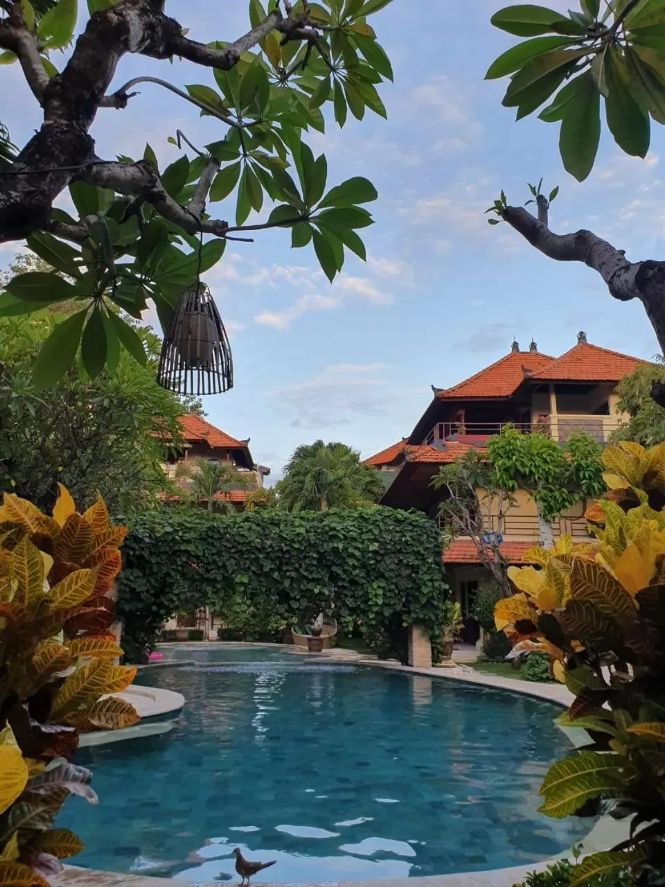 Swimming pool in Kusnadi Hotel