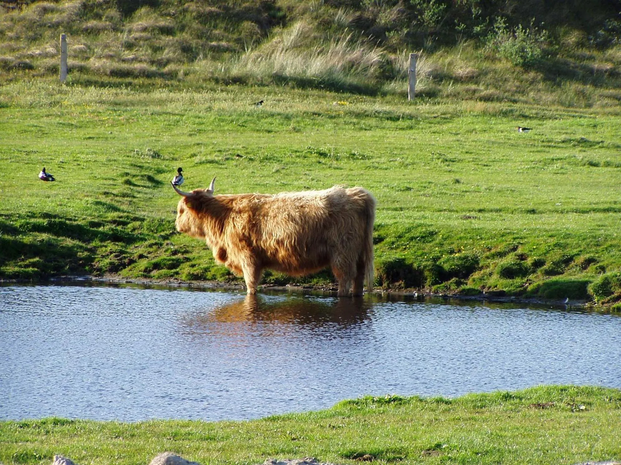 Natural landscape in Logierhus Langeoog