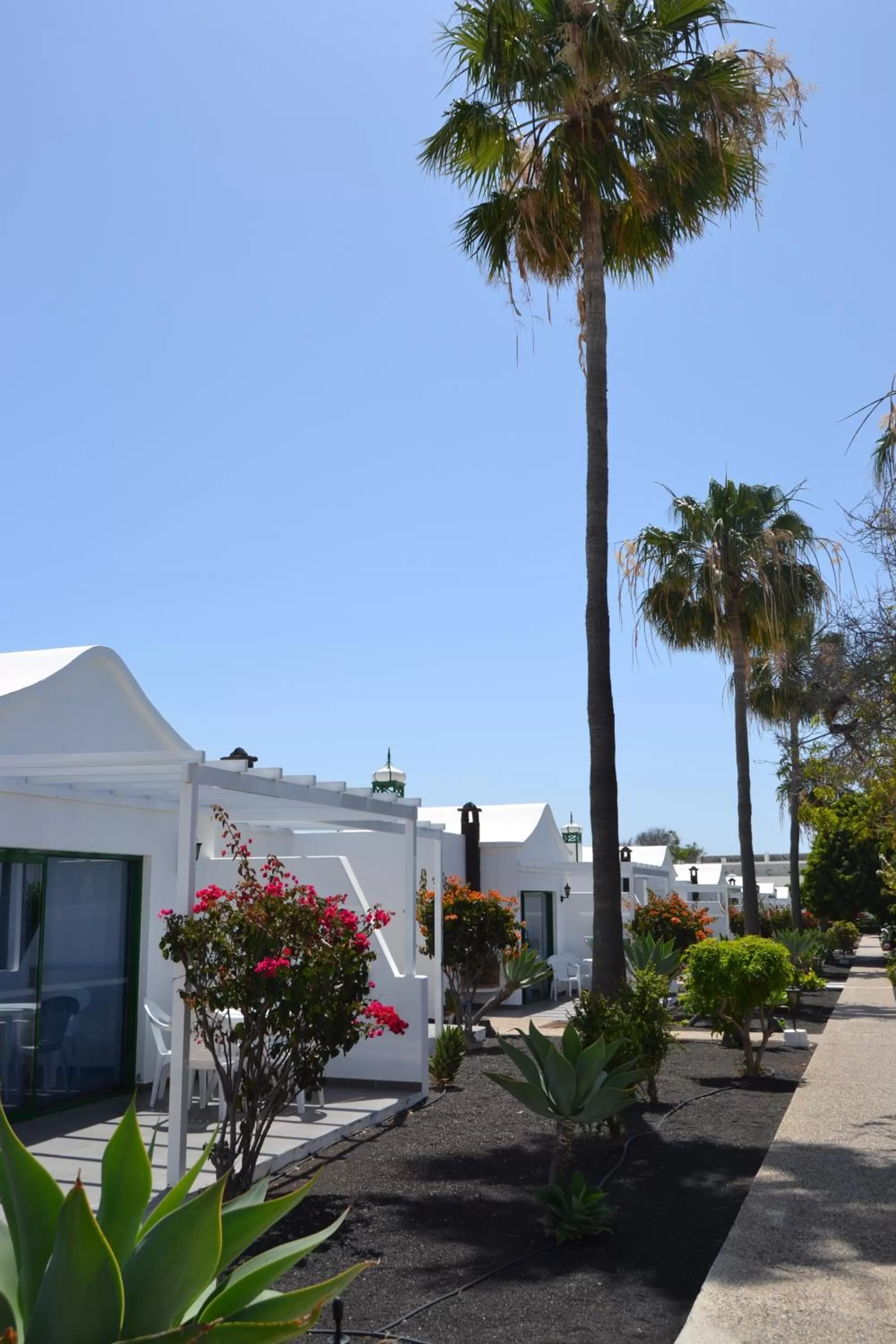 Garden in Hyde Park Lane