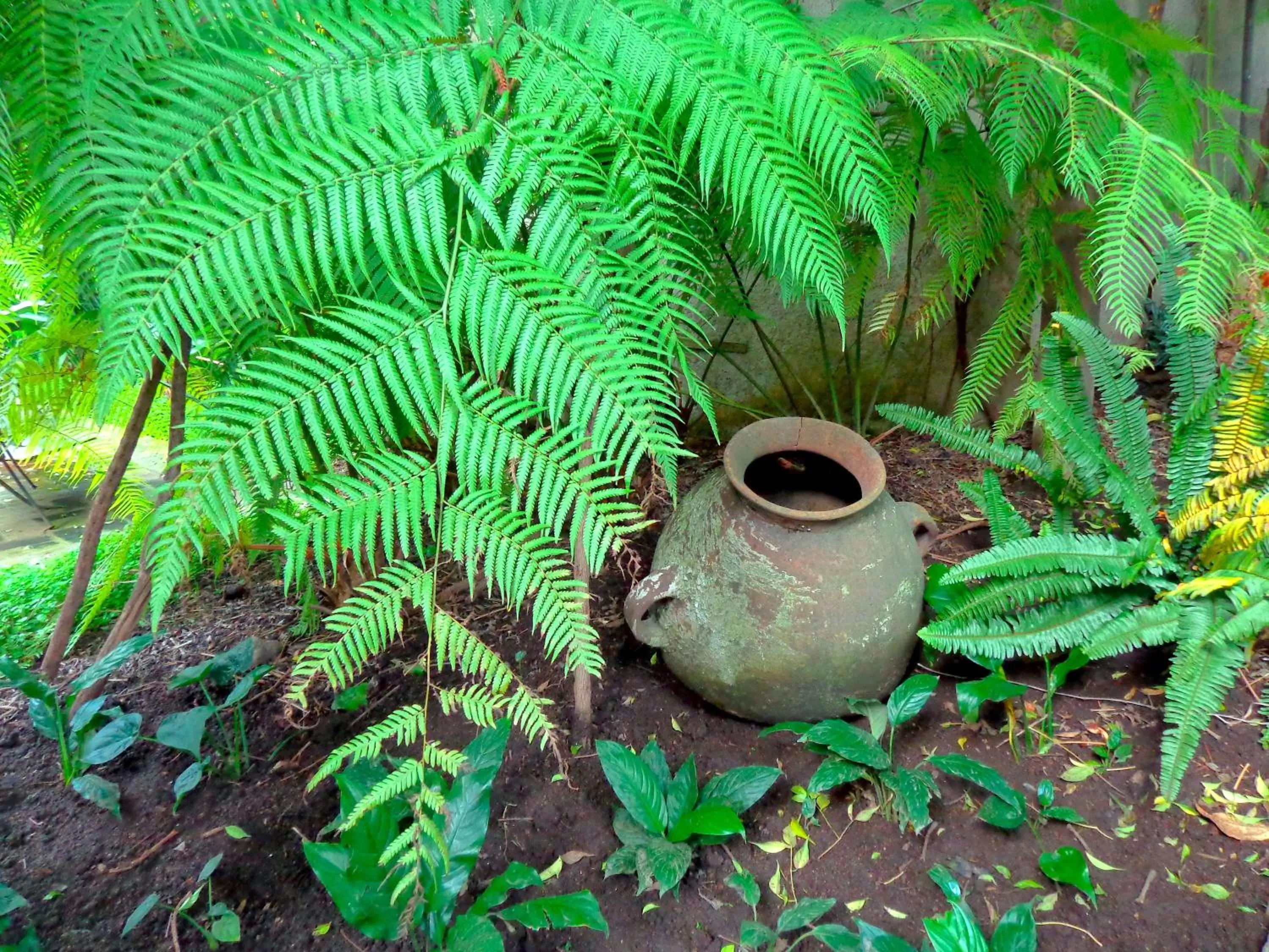 Cissus Hotel Boutique