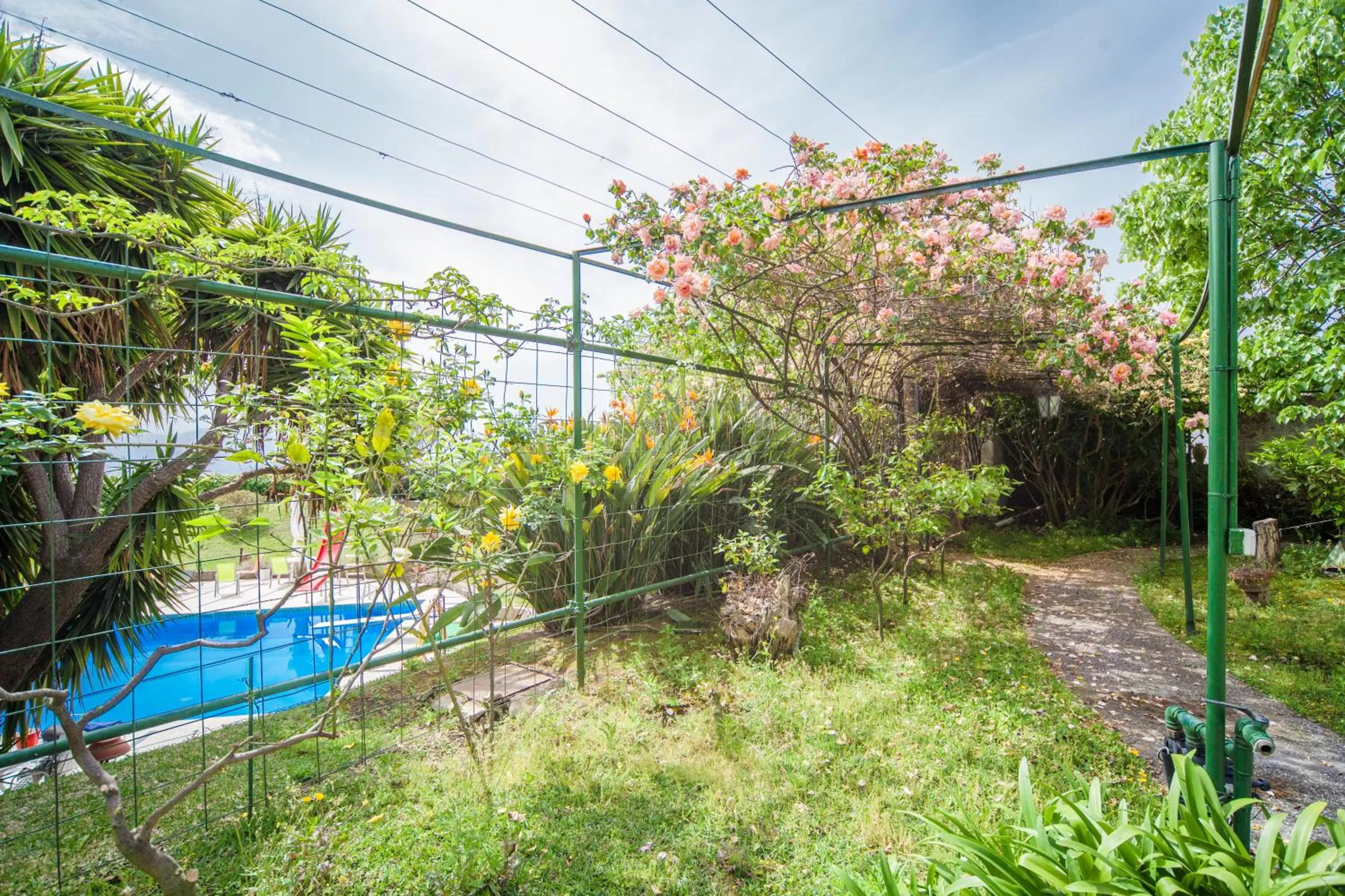 Garden in B&B Casina de Goyzueta