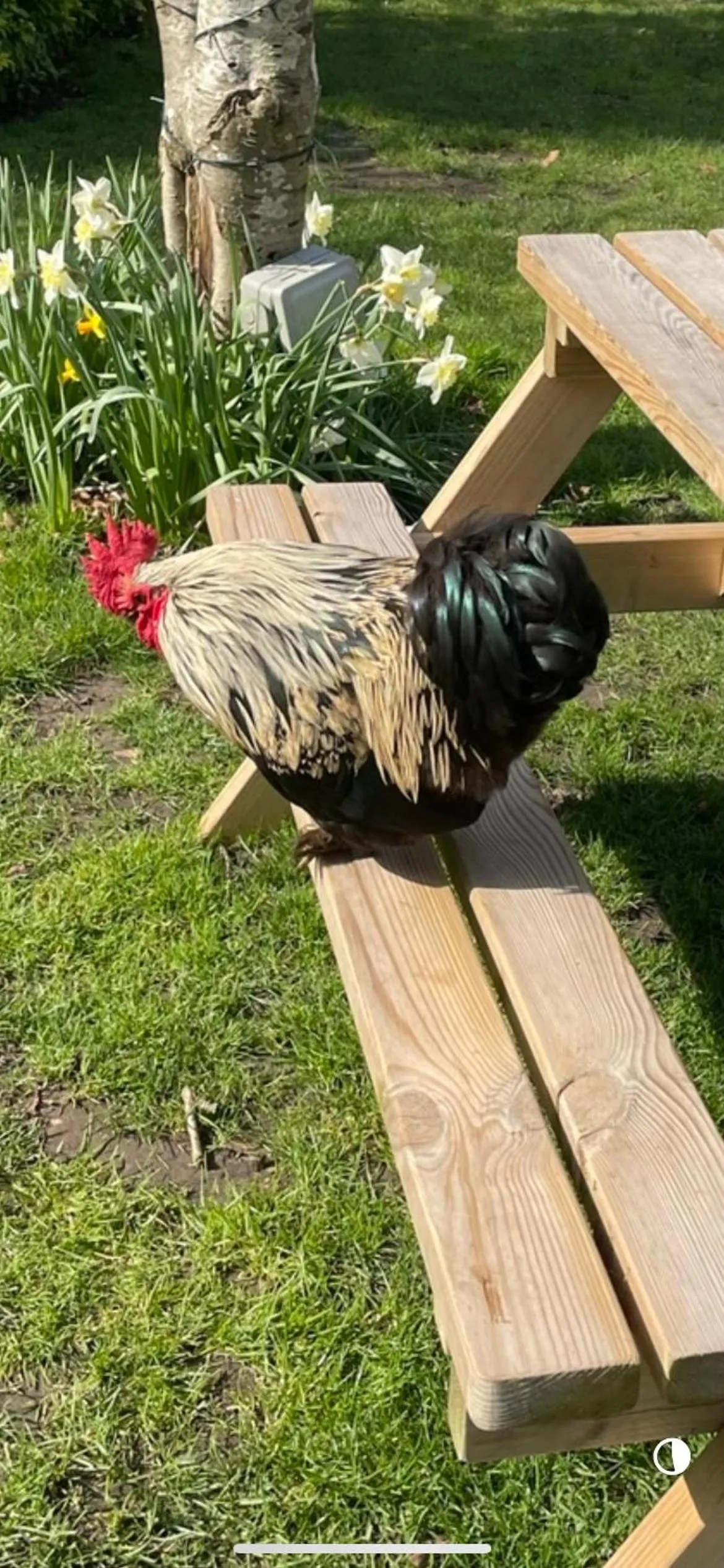 The Swan Inn Swinbrook