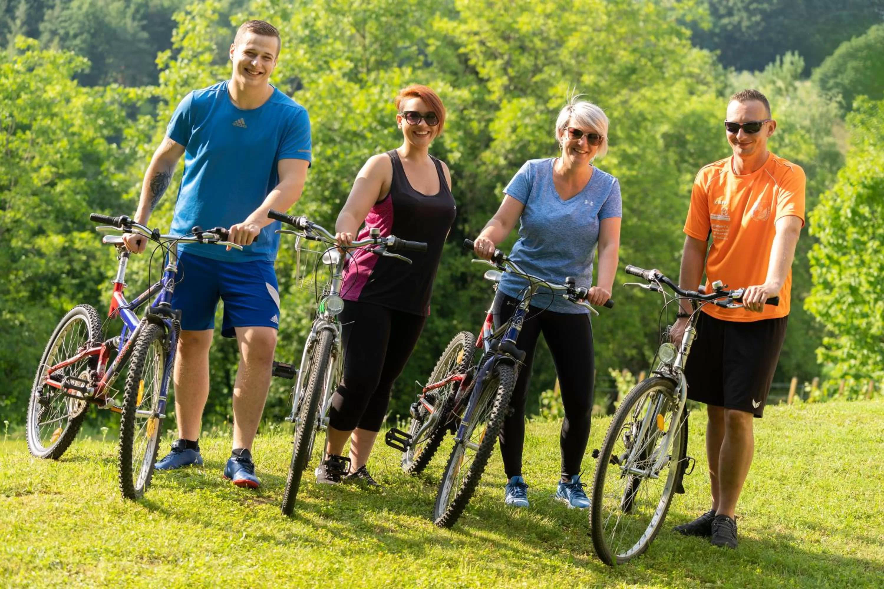 Cycling in Hotel Garni Oasis Loipersdorf