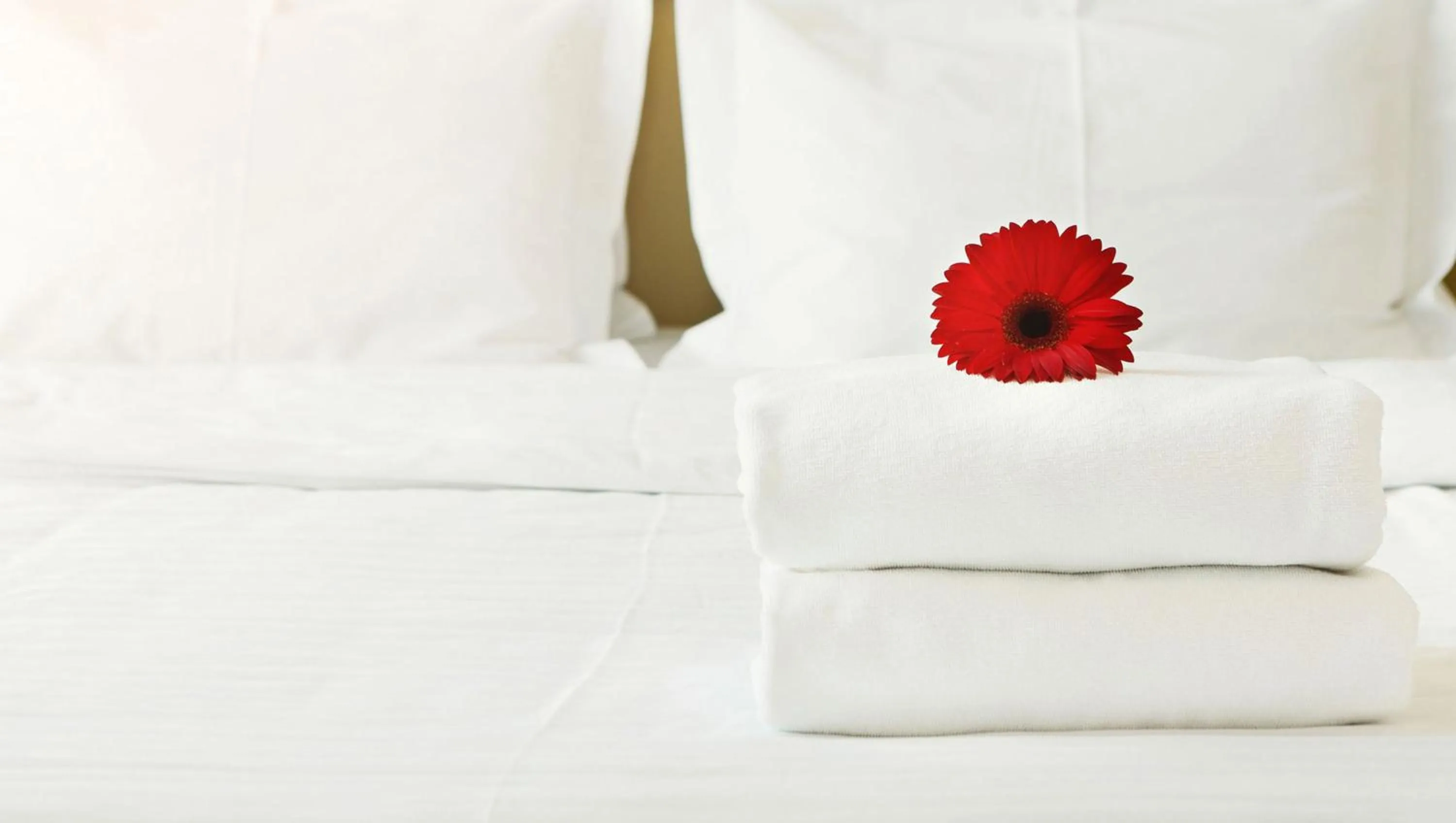 Bed in Green Valley Motel Winston Salem