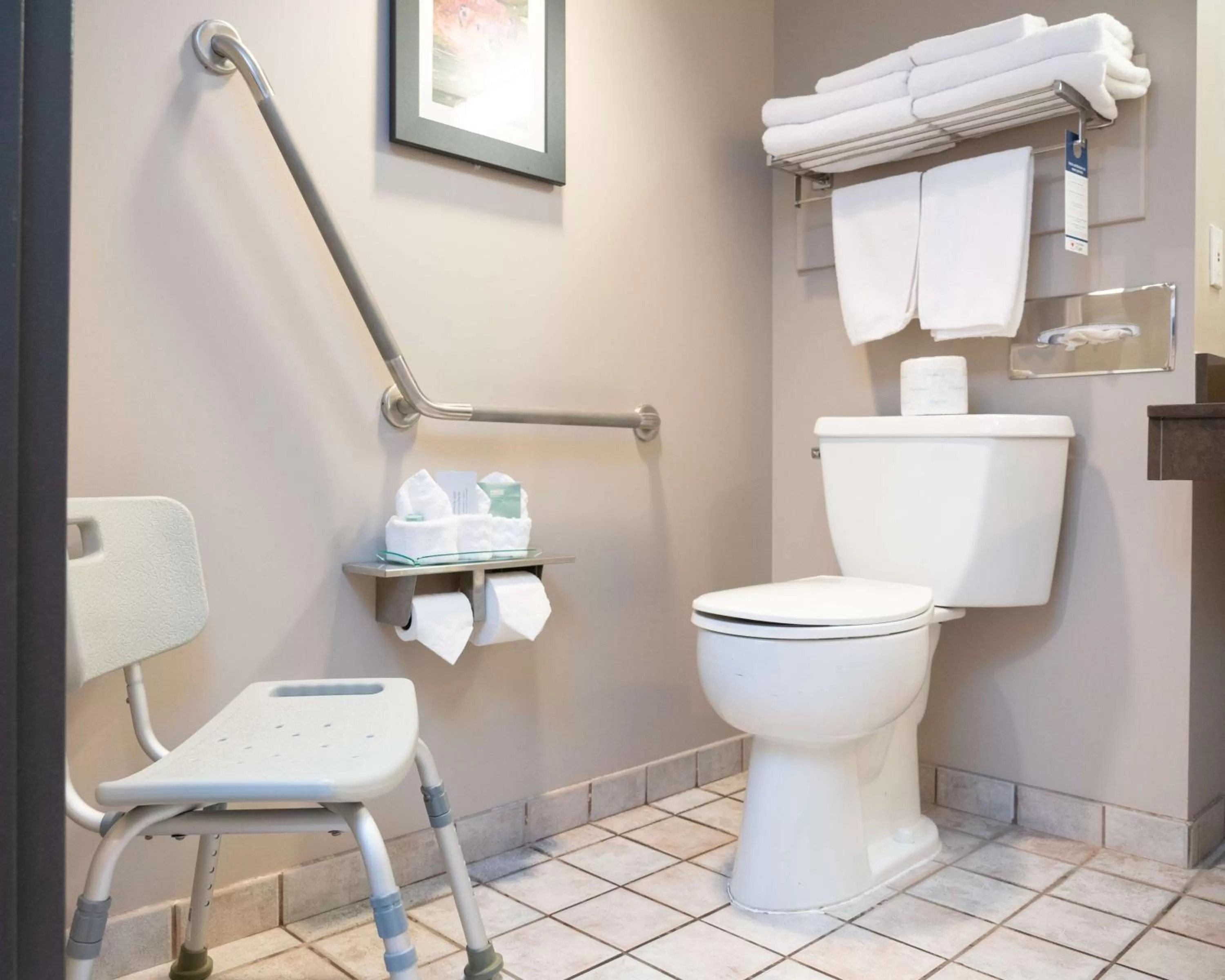 Toilet in Pocaterra Inn & Waterslide