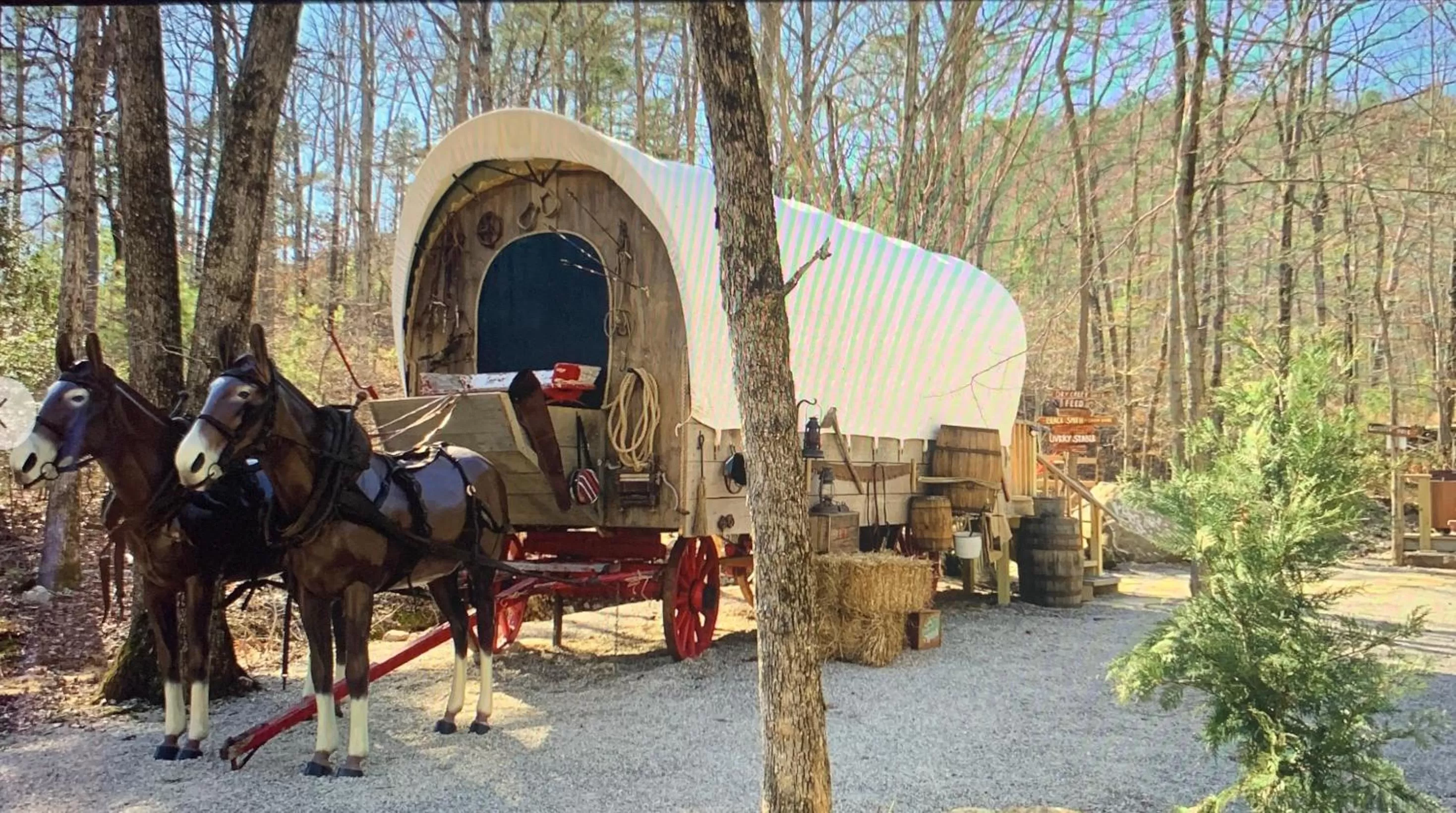 Property building in Fox Pass Cabins