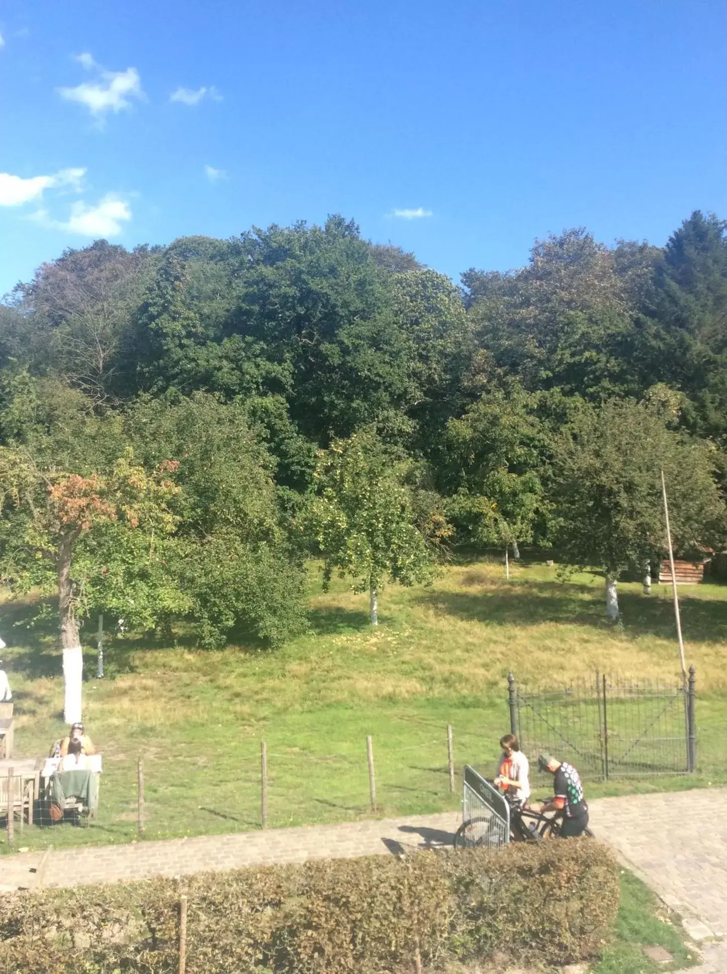 Superior Twin Room in Hotel In't Boldershof Superior Twin Room in Hotel In't Boldershof