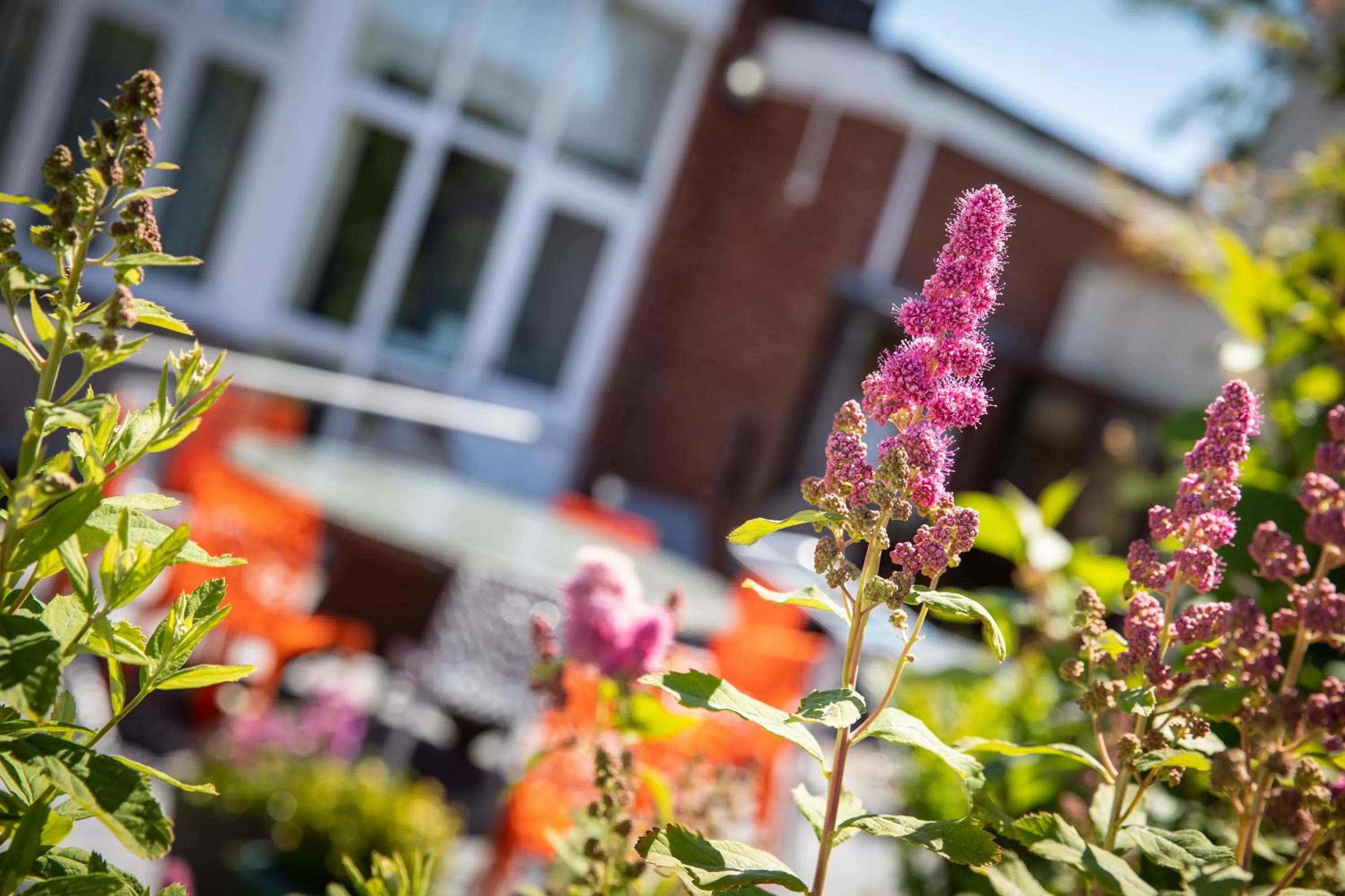 Garden in West Point House