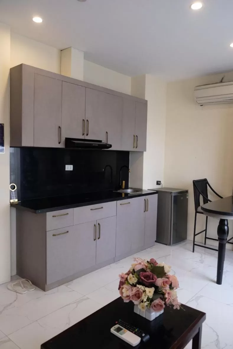 Kitchen/Kitchenette in Aisha HOTELS and APARTMENTS