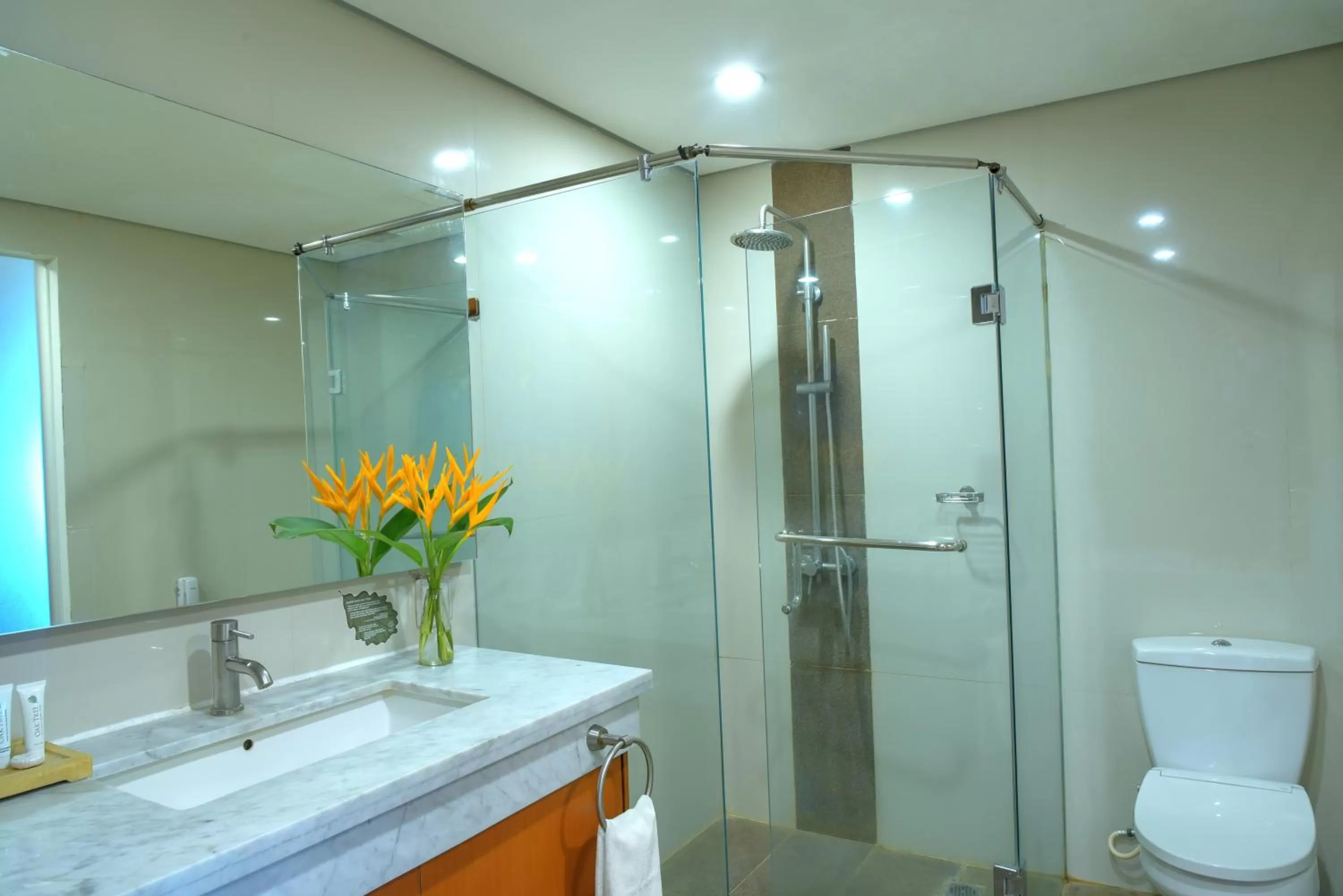 Shower in Oak Tree Emerald Hotel & Coventions Semarang