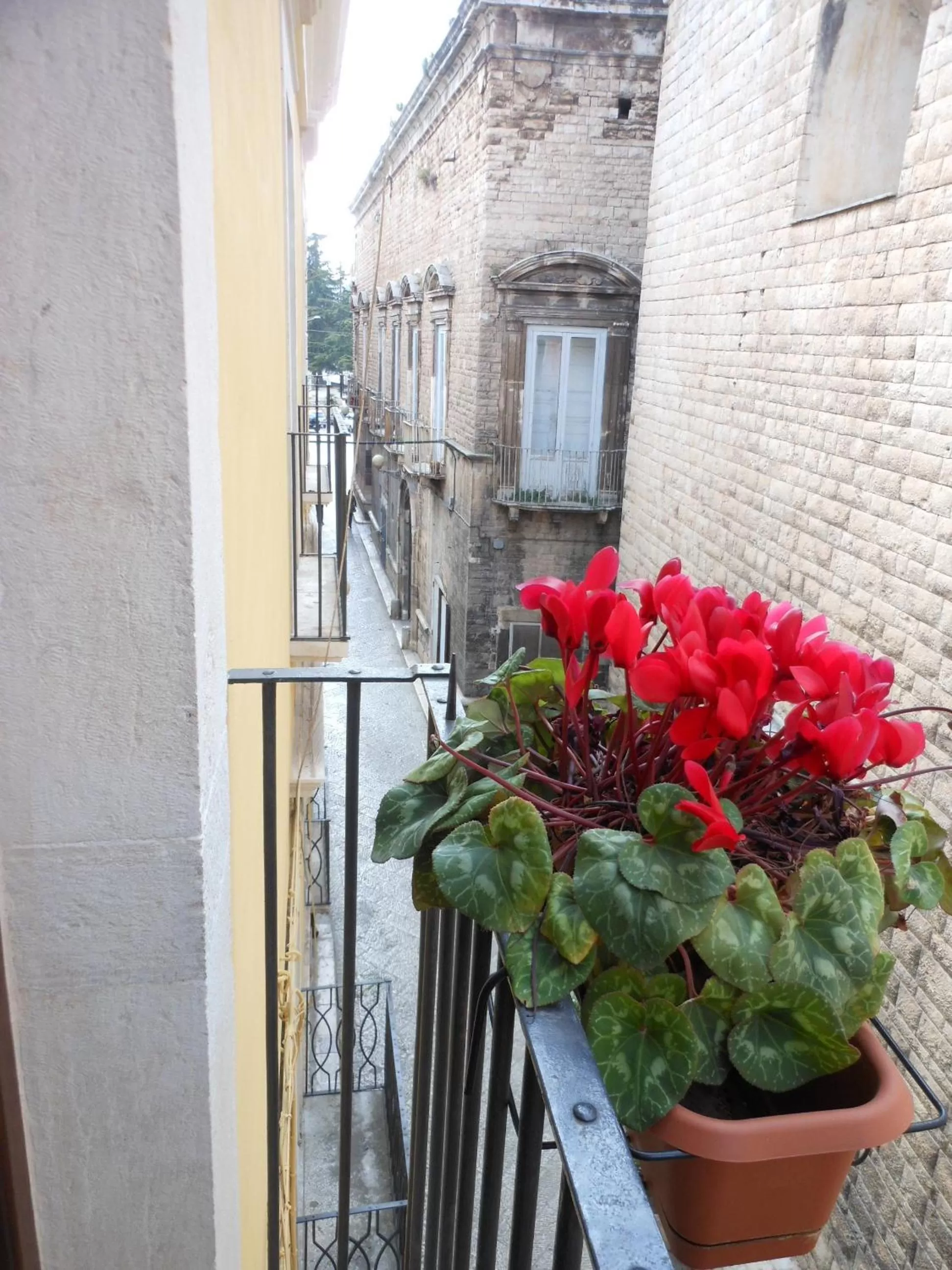 Street view in Palazzo Antica Via Appia
