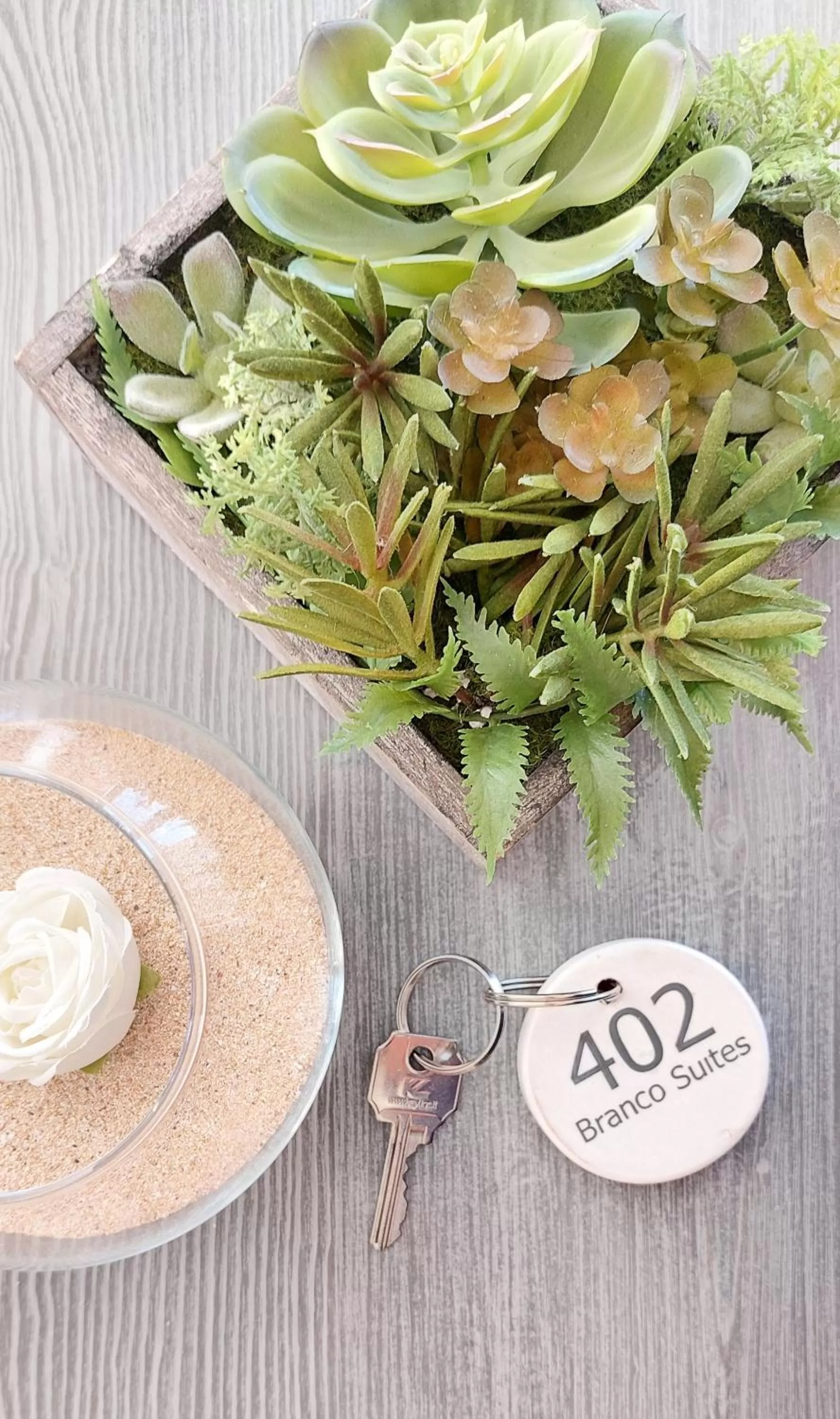 Property logo or sign in Branco Suites - Rooms & Holiday Apartments