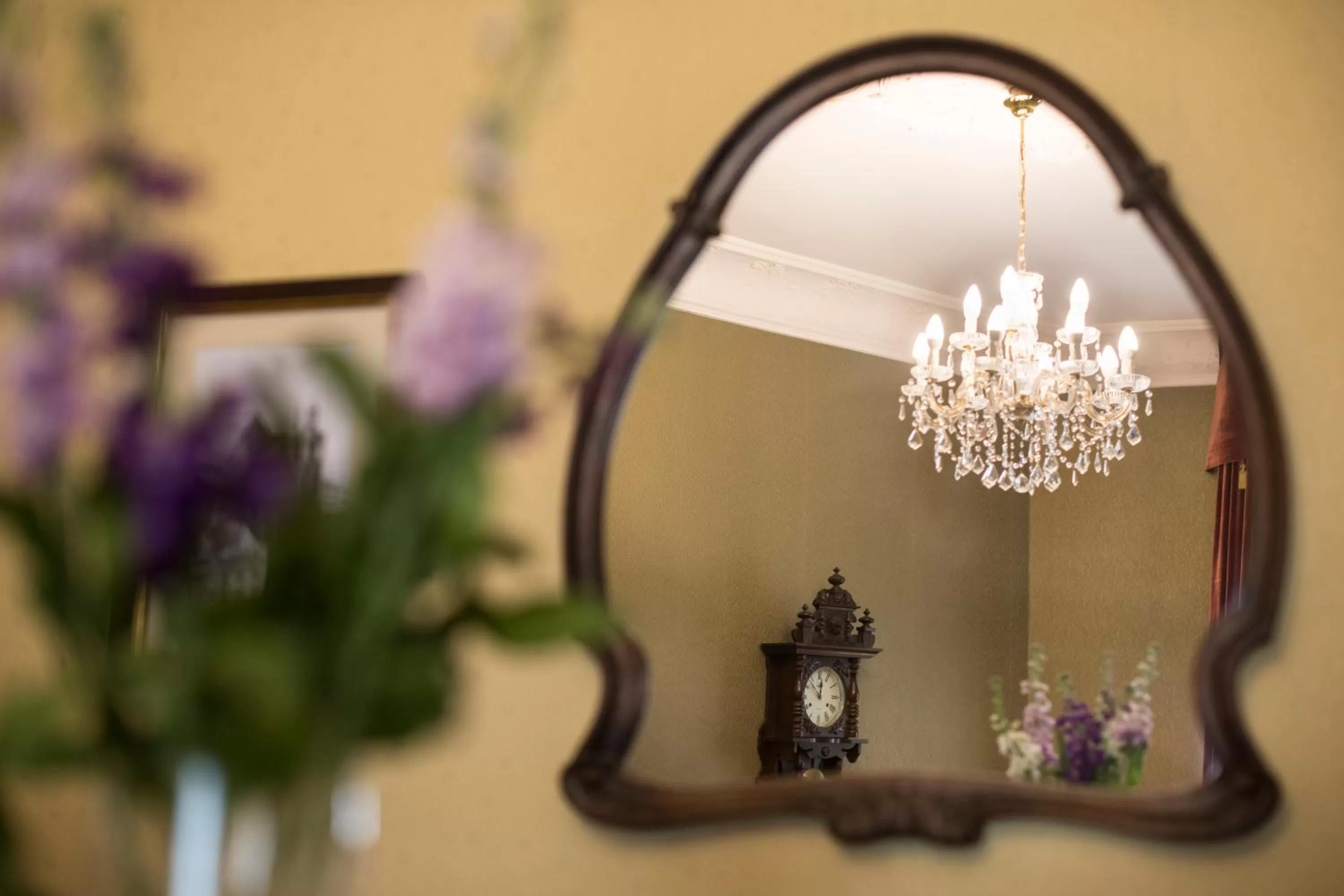 Property logo or sign in Bohema Boutique Hotel & Spa