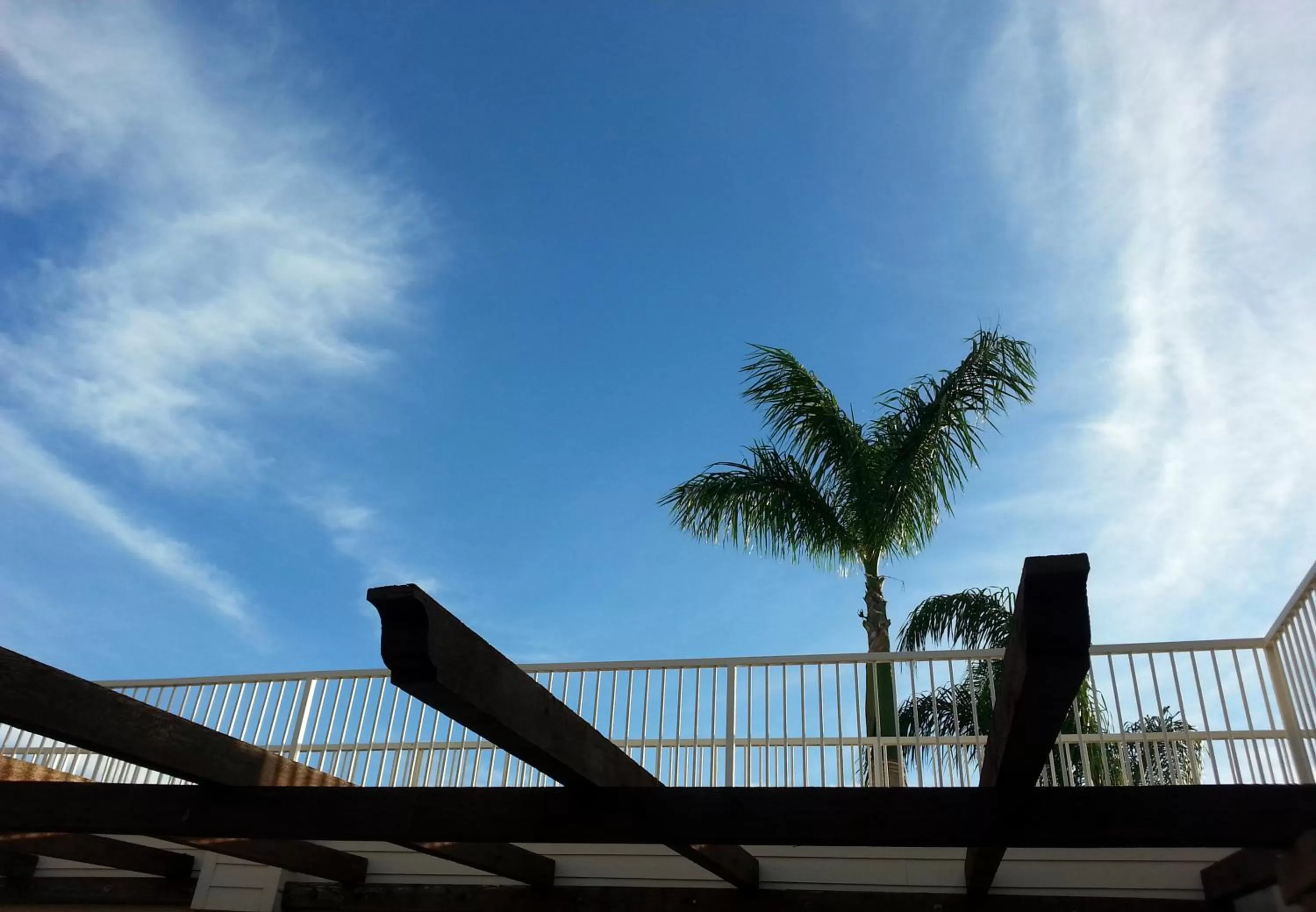 View (from property/room) in La Copa Inn Alamo