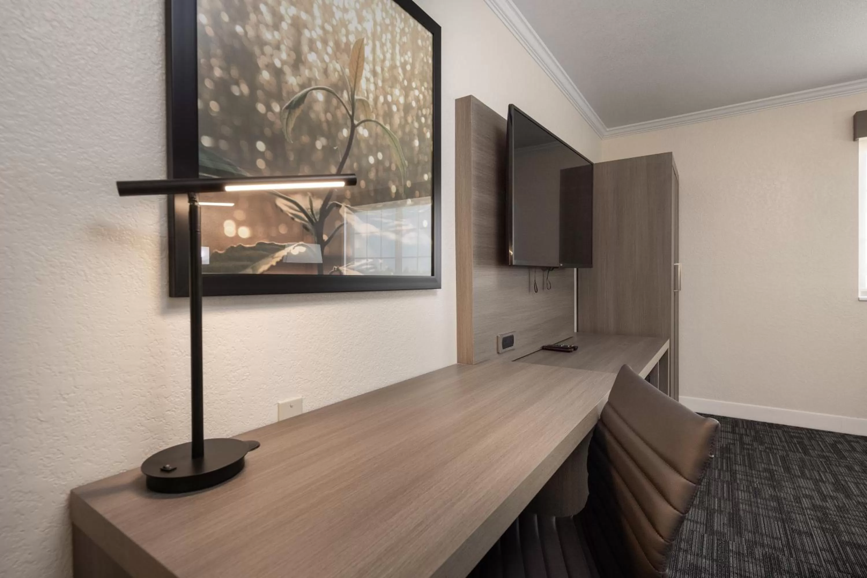 TV and multimedia in Comfort Inn Hayward - Oakland South