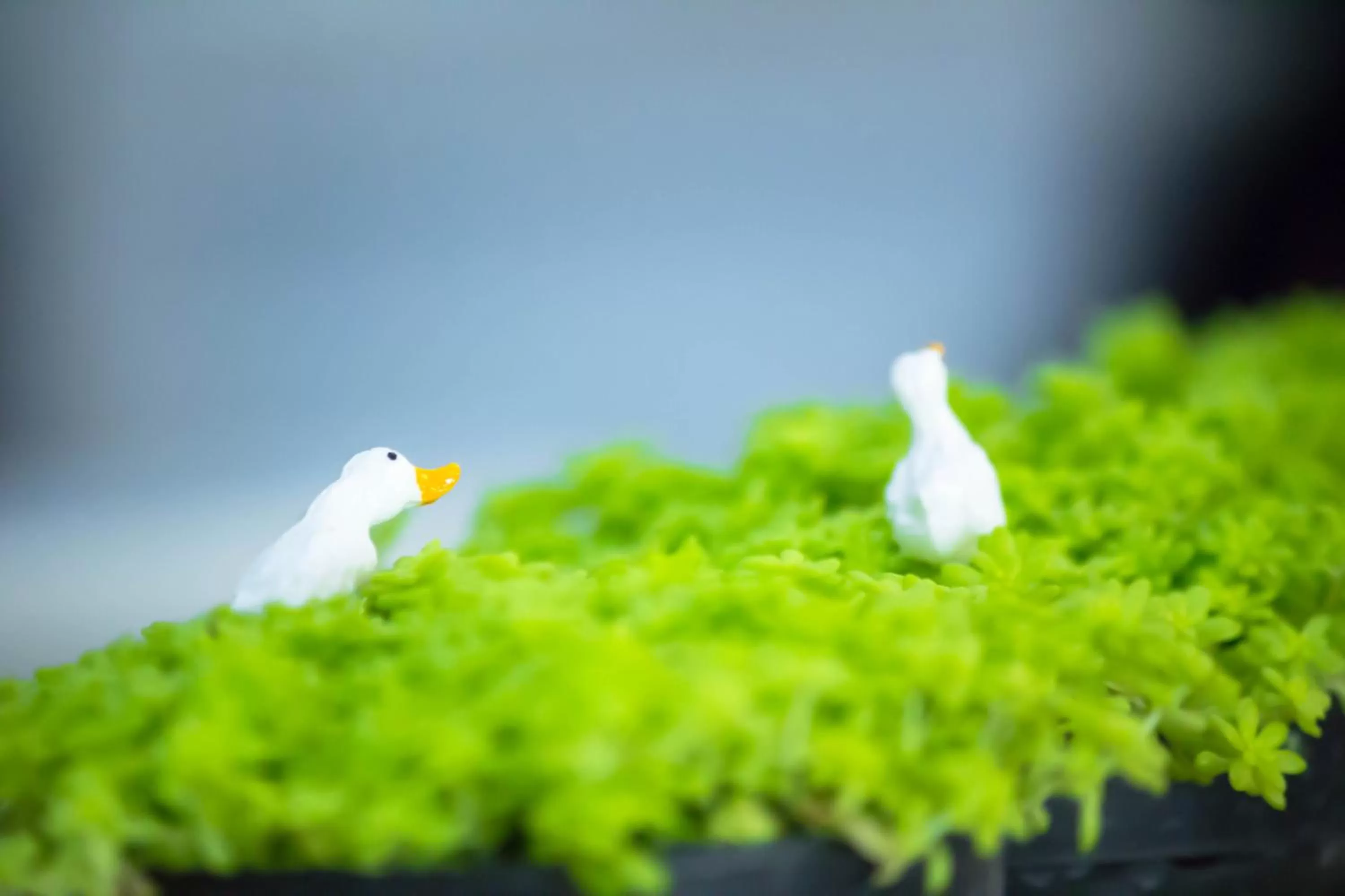 Decorative detail in Moca Hotel