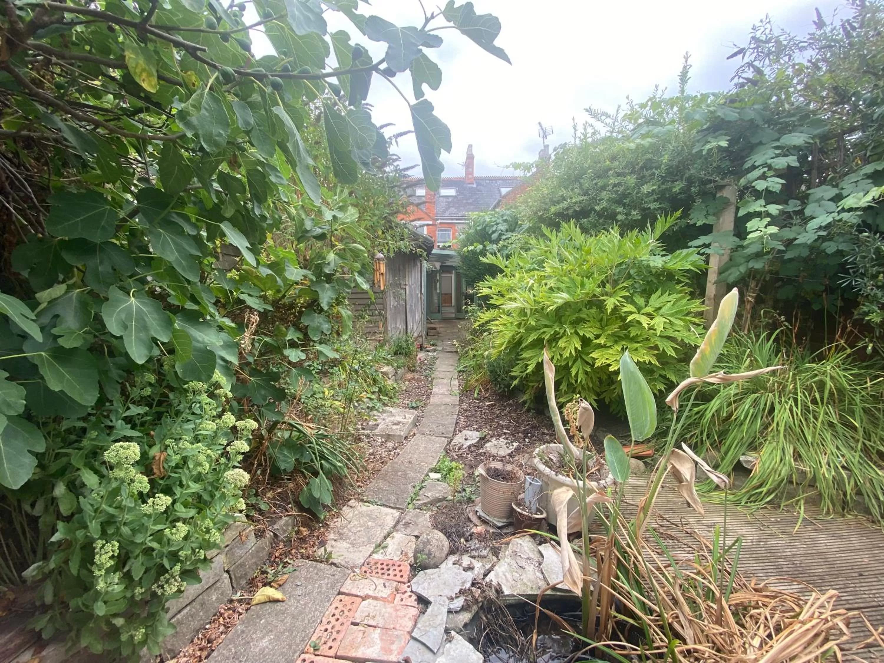 Garden in The Dragonfly BNB, Glastonbury