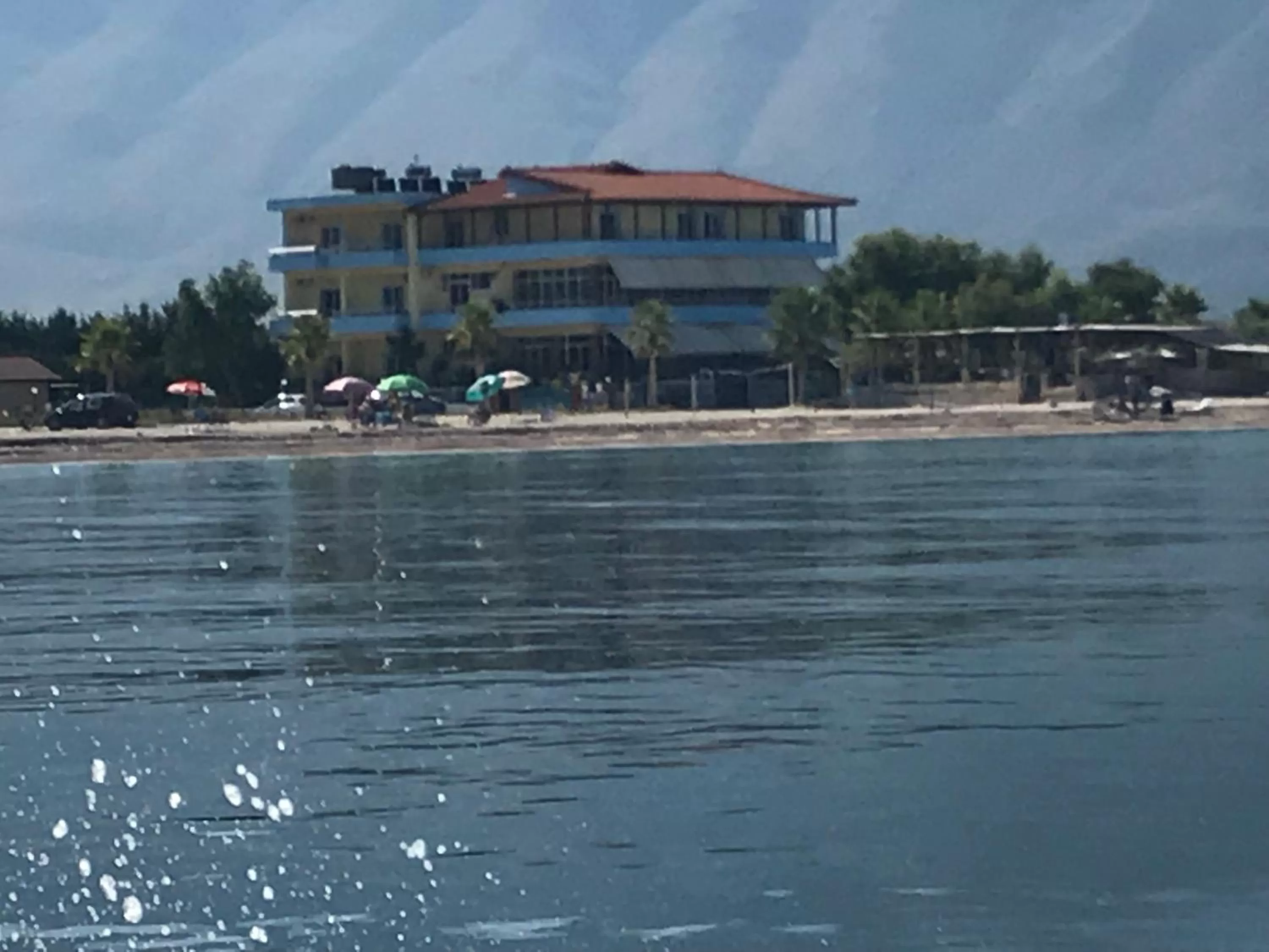 Sea view, Property Building in Hotel Alba-Gert