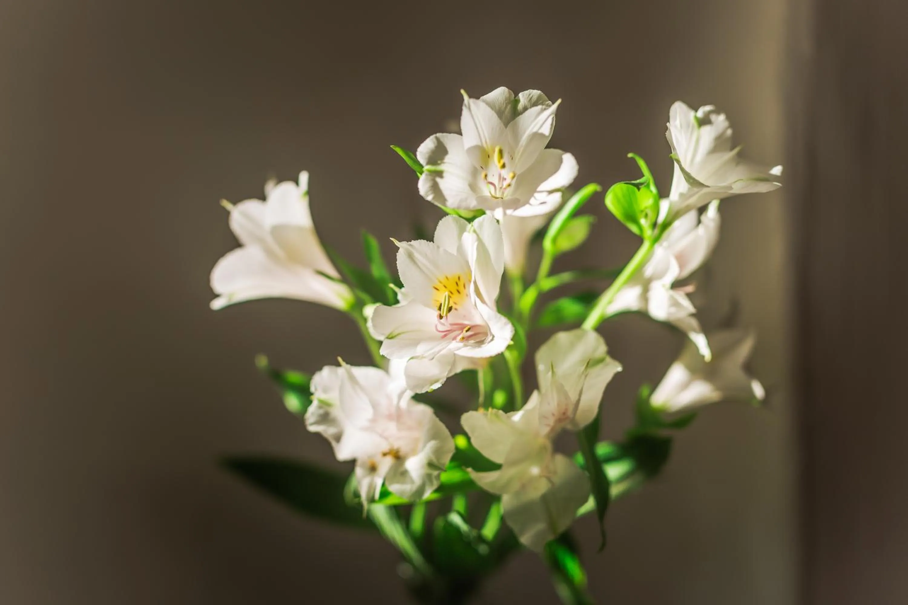 Food and drinks in Point B Guest House -Sustainable Solar Energy