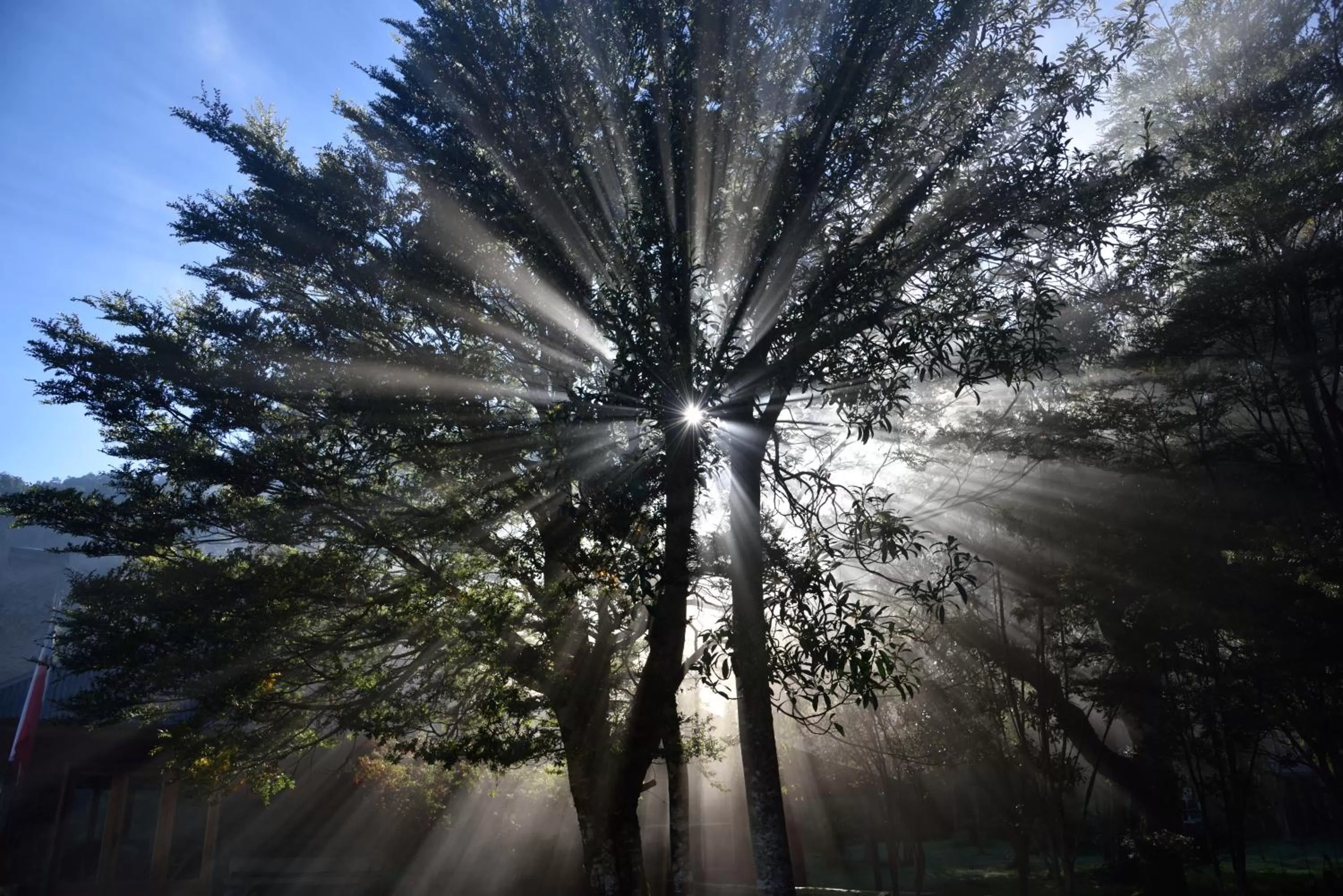 Off site, Winter in Posada Queulat