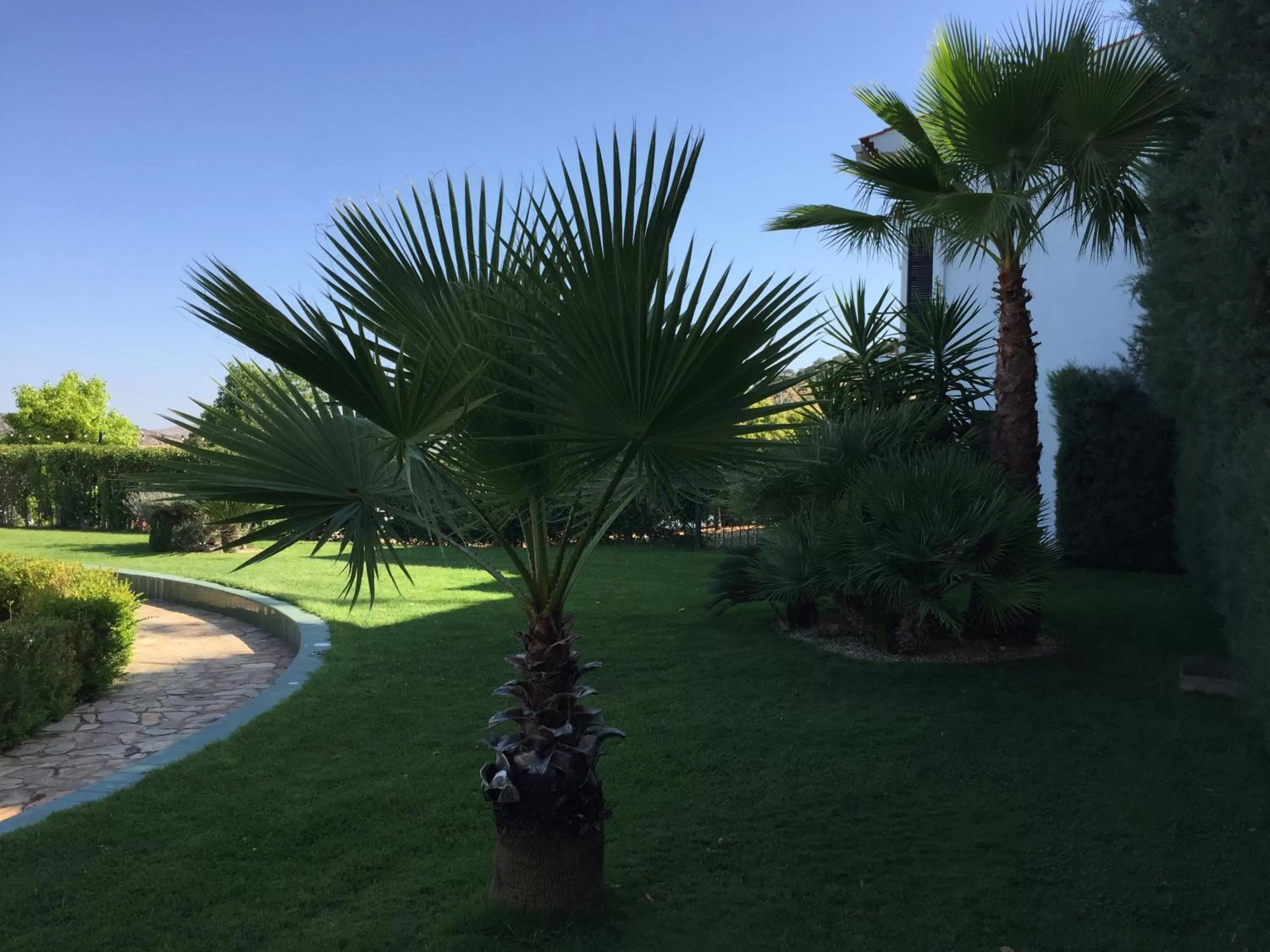 Swimming pool in Apartamentos Atalayas Extremadura