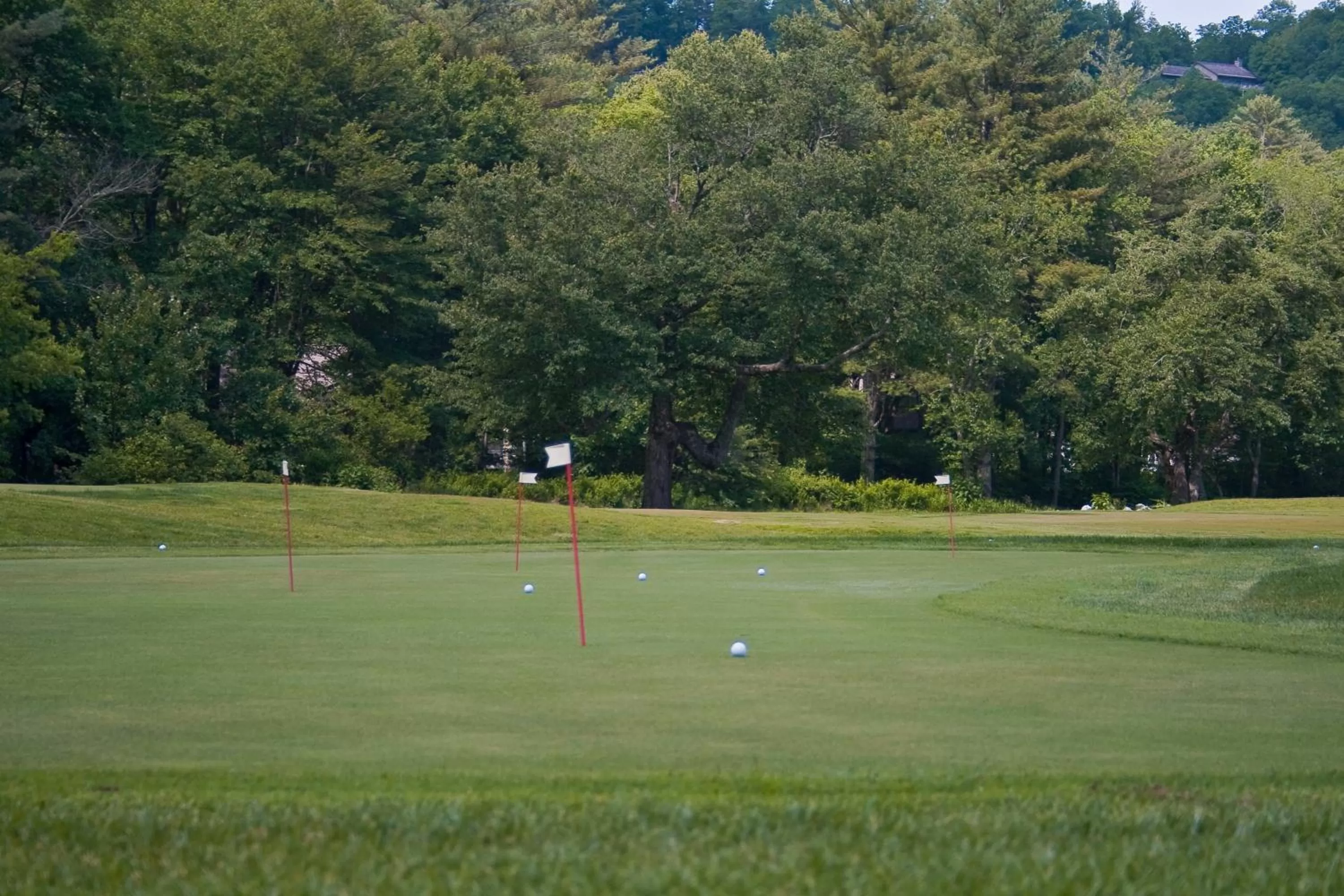 Golfcourse in Foxhunt at Sapphire Valley