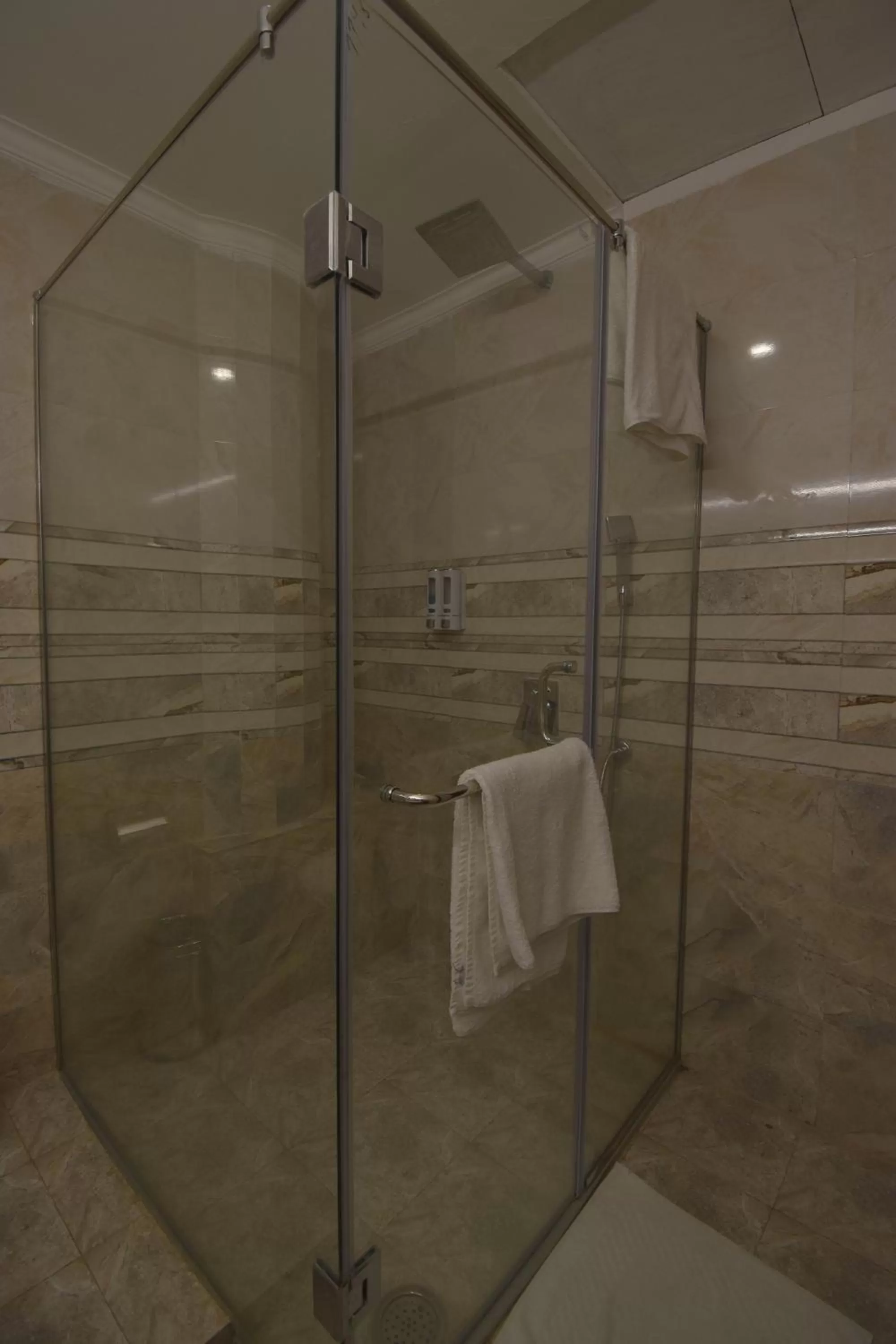Shower, Bathroom in The Royal Castle AC Centralized