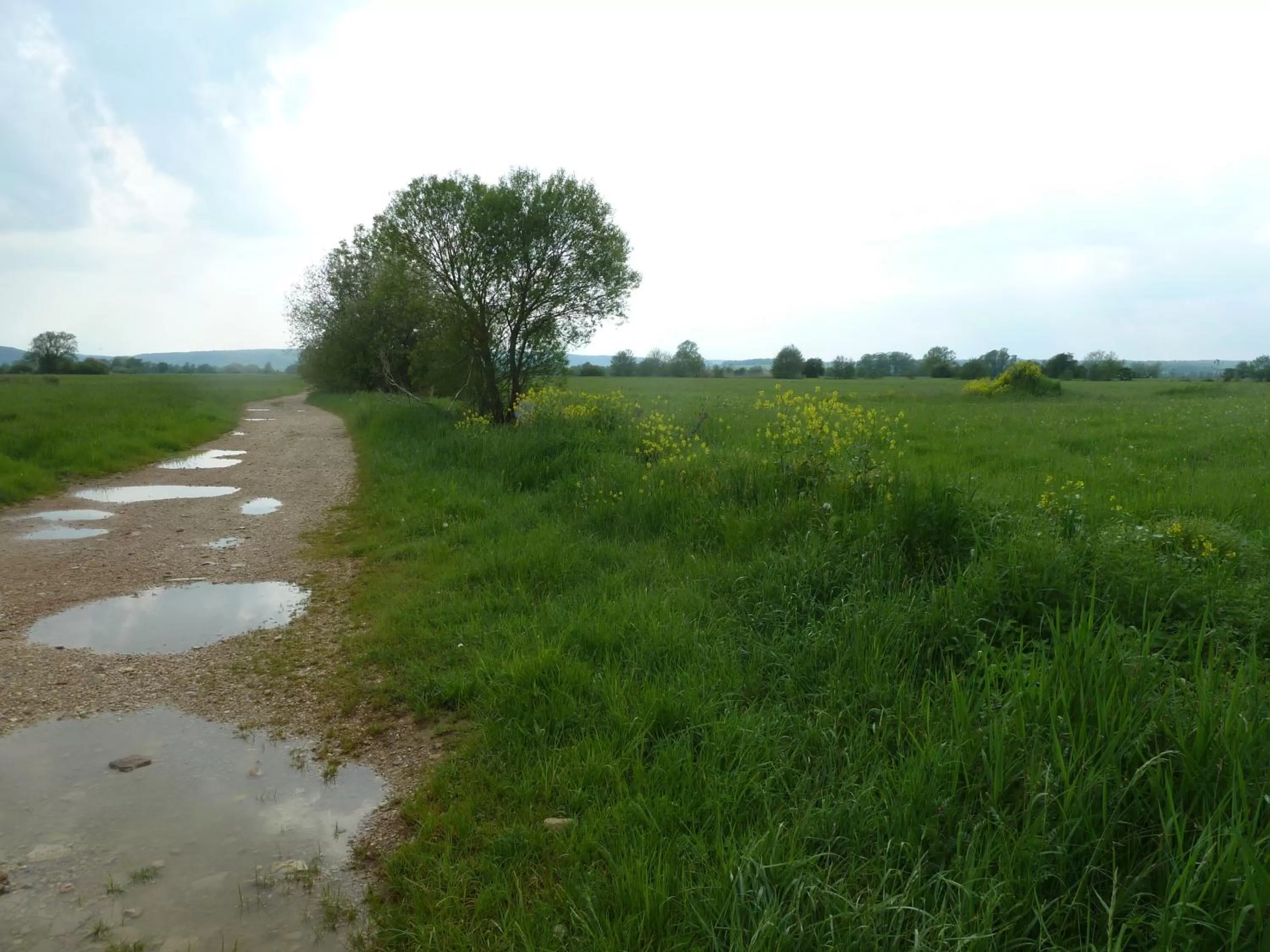 Neighbourhood in Maison Les Beaux Arts