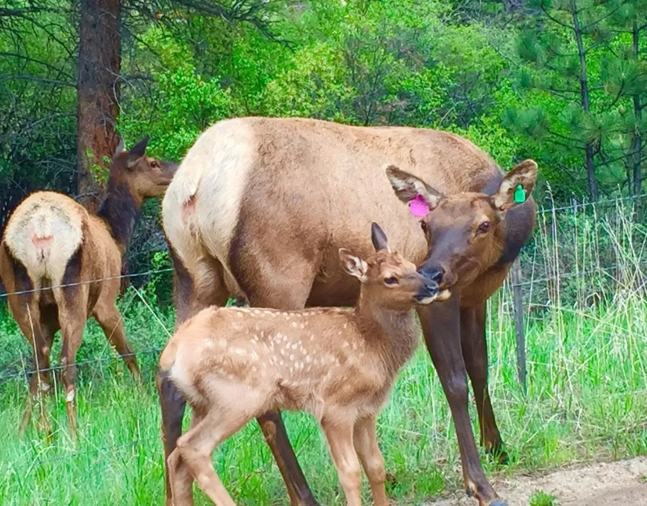 Riversong Inn Retreat