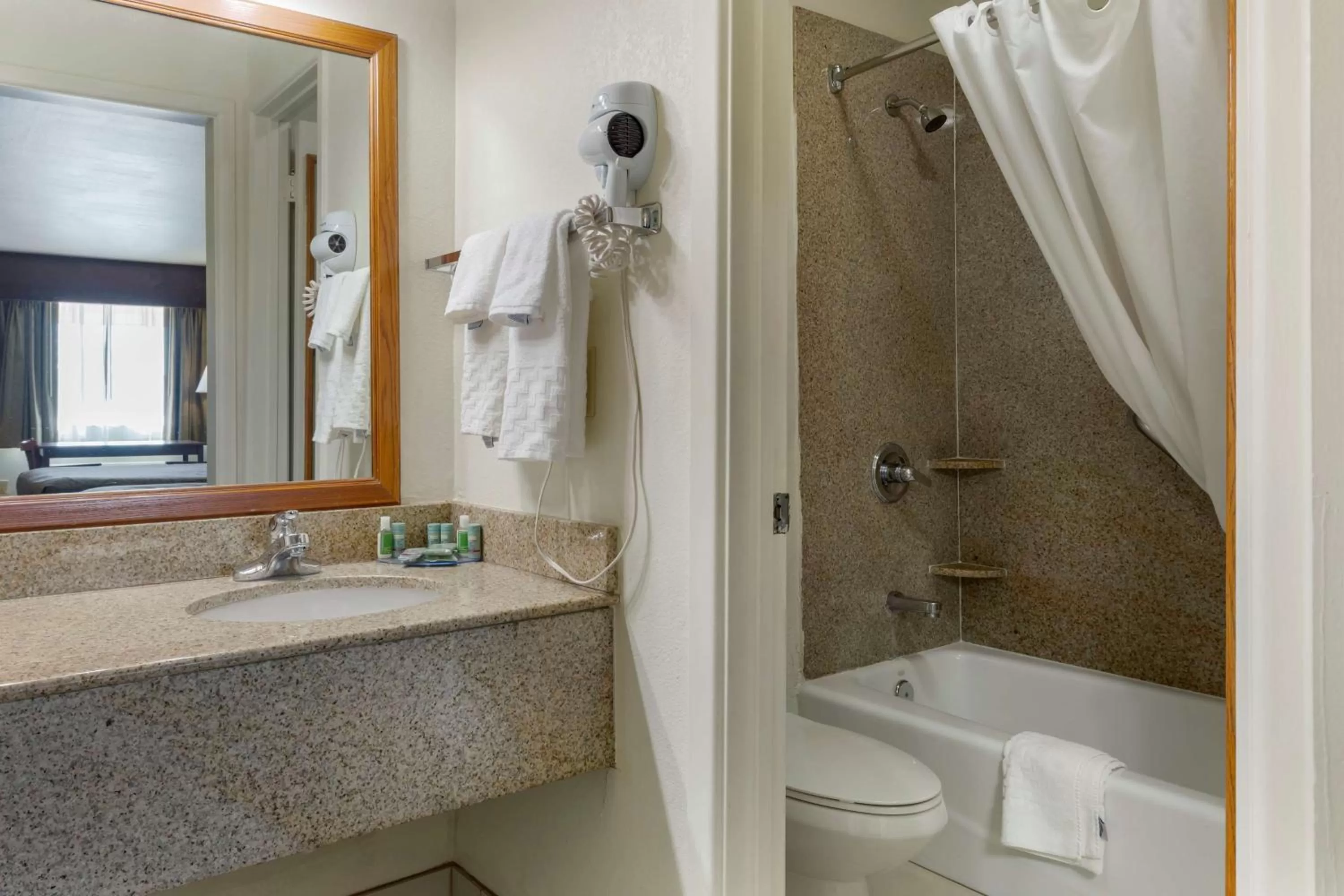 Bathroom in Best Western Caprock Inn