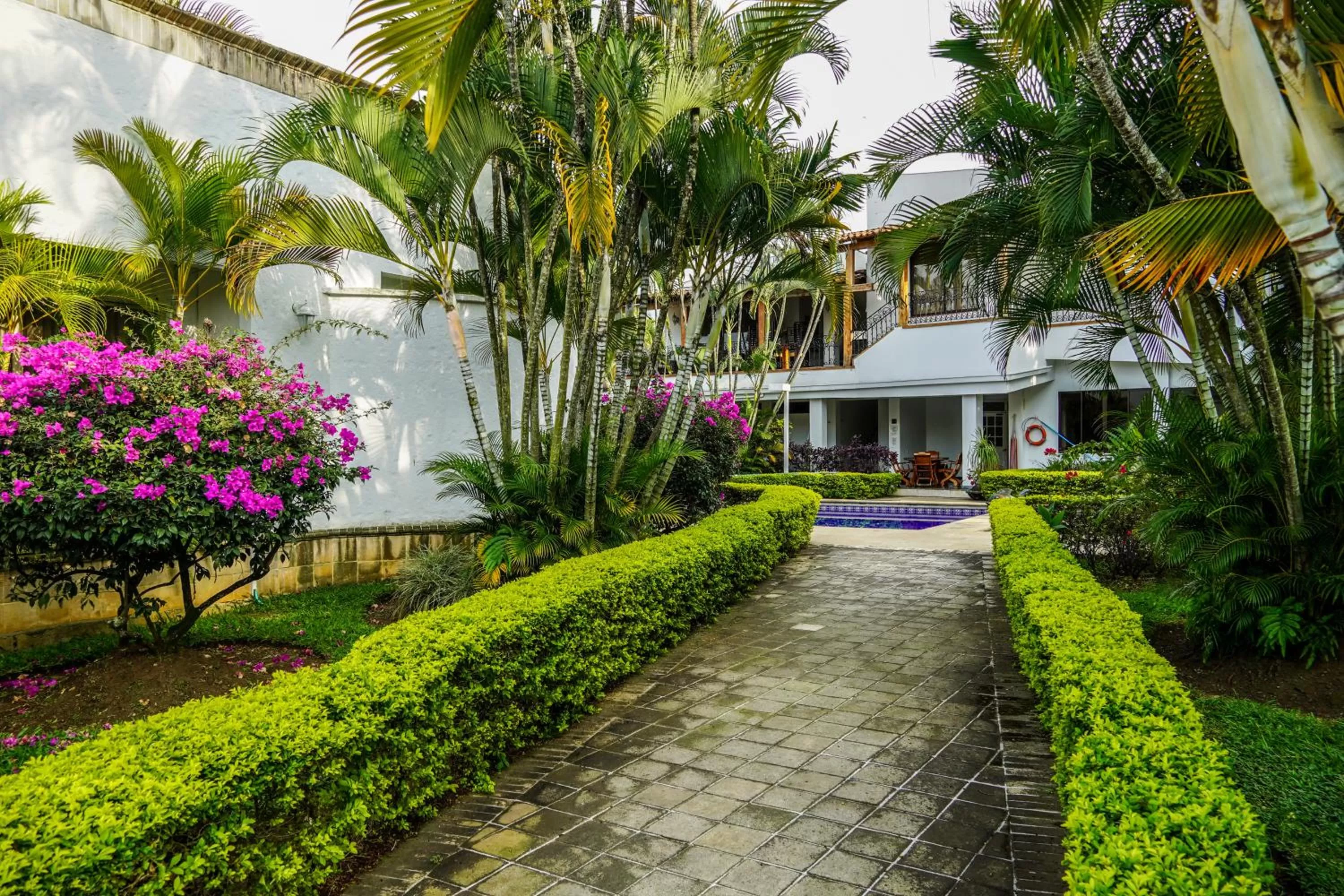 Garden in Hotel Boutique Villa Casuarinas