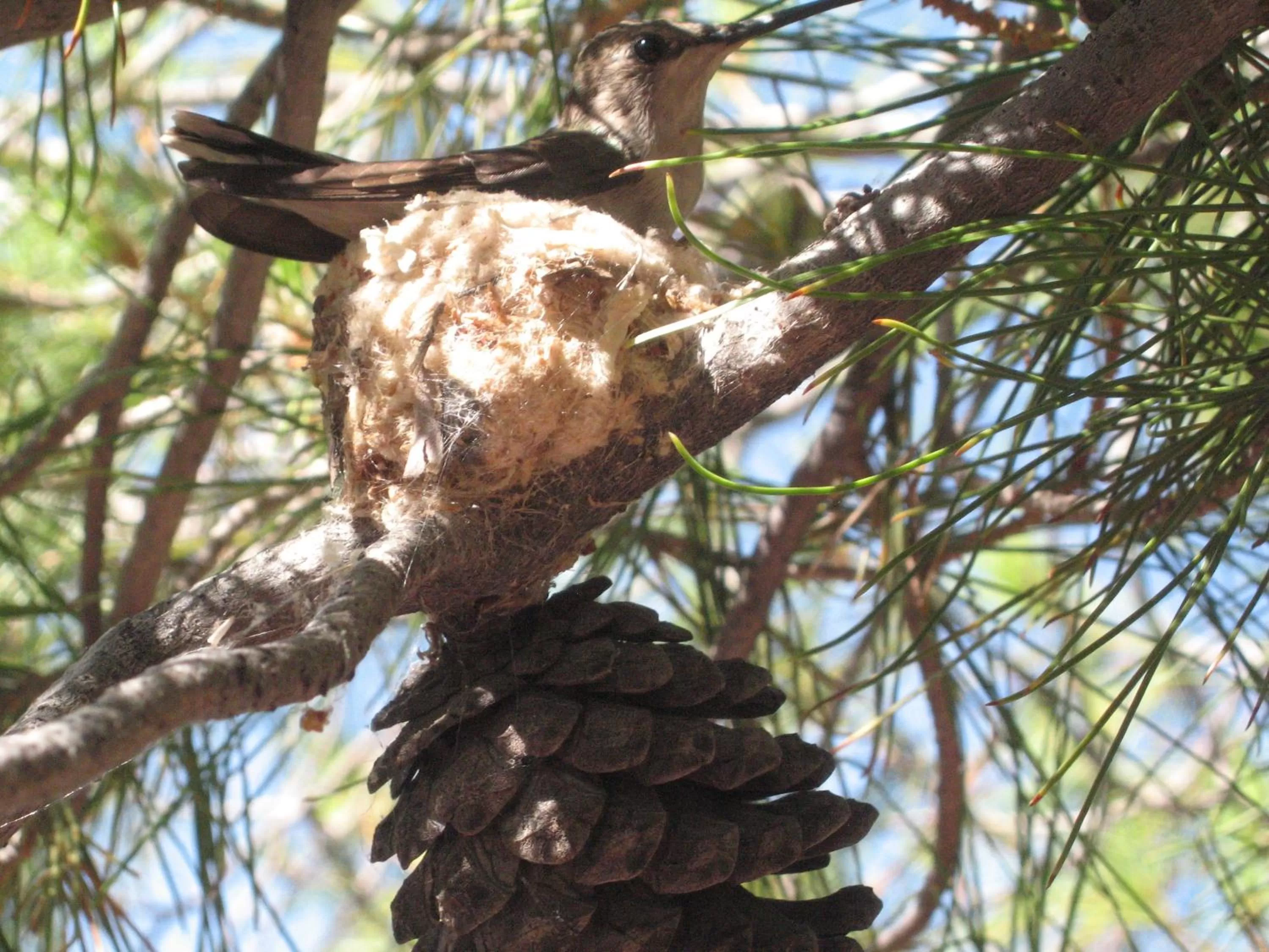 Decorative detail in Mon Ami Bed and Breakfast