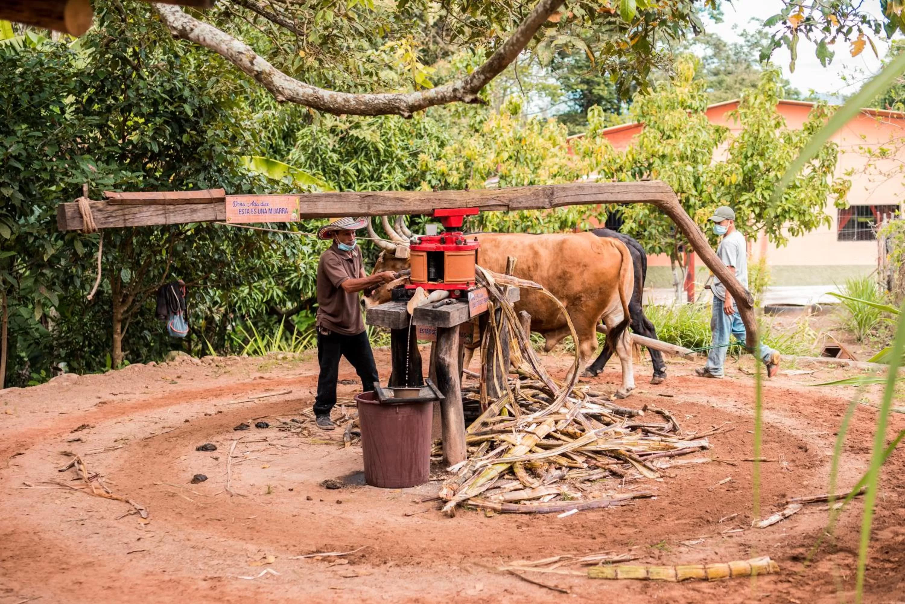 Activities in Hotel de Campo Villa de Ada