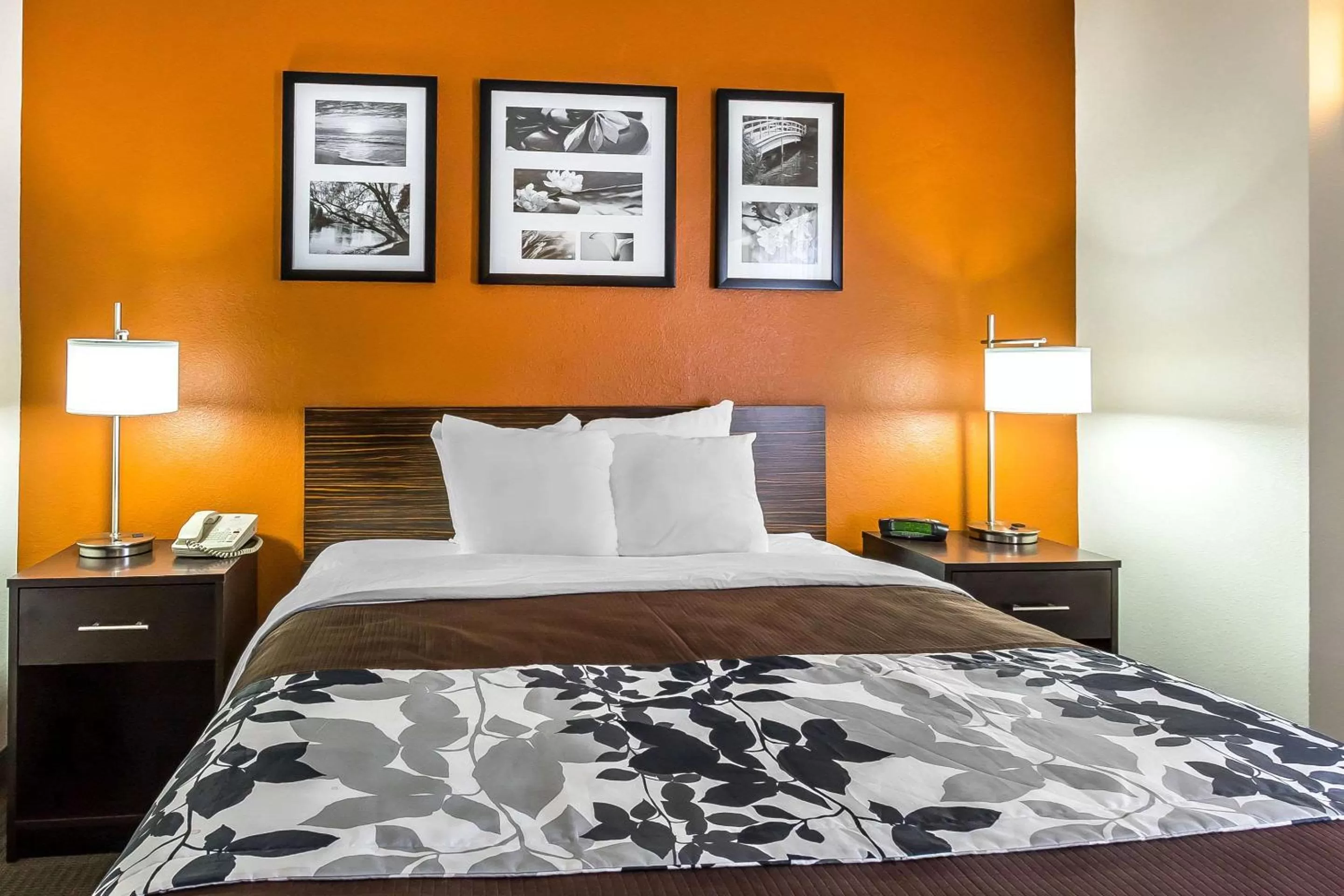 Photo of the whole room, Bed in Sleep Inn Springfield South I60 near Medical District