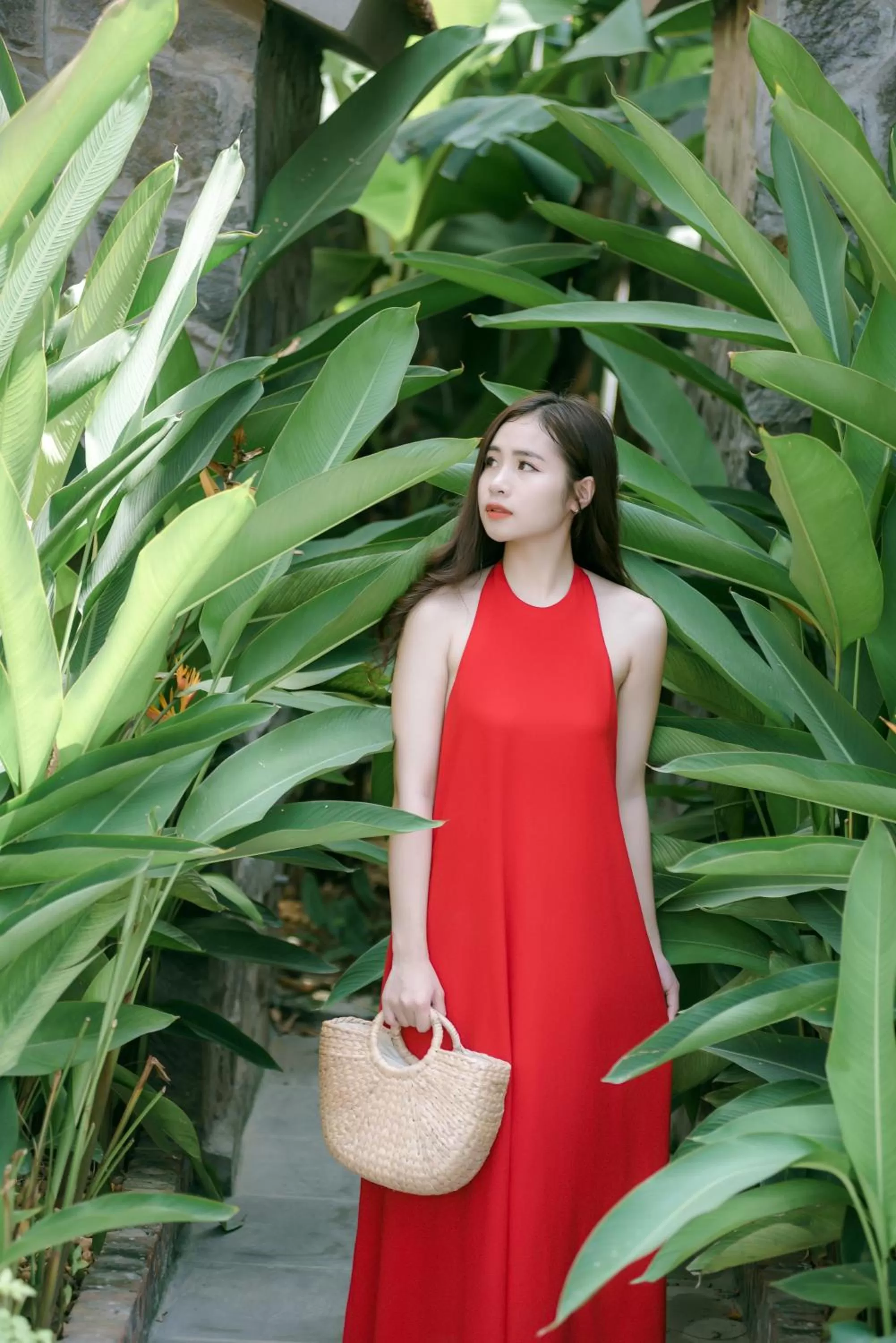 Natural landscape in Tam Coc Banana Bungalow