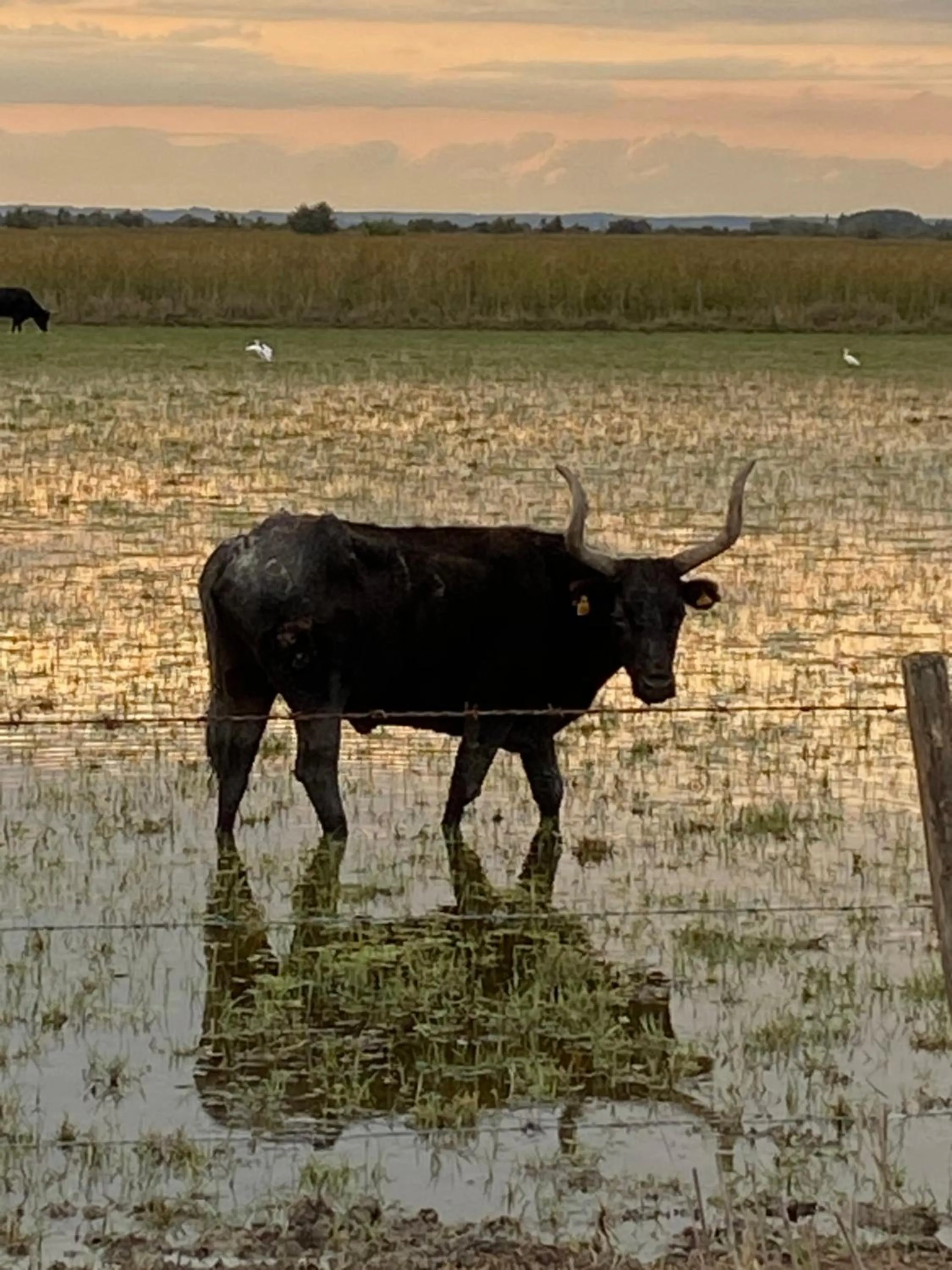 Natural landscape in Le Mas de Cocagne