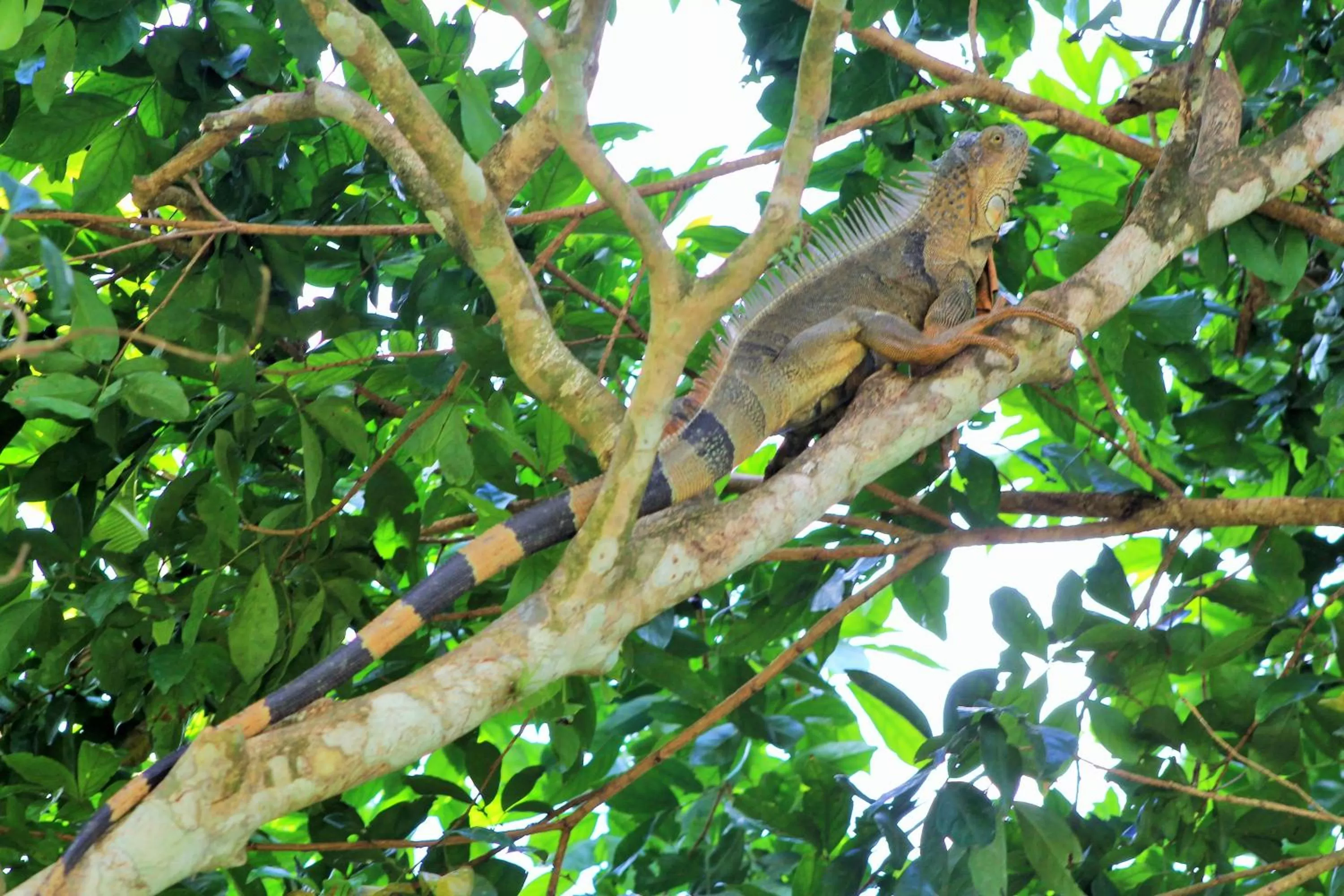 Area and facilities in Hotel Monte Real