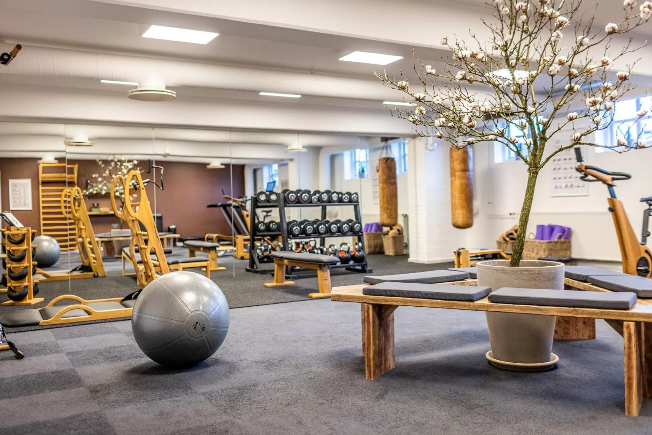 Fitness centre/facilities in The Lodge Billund