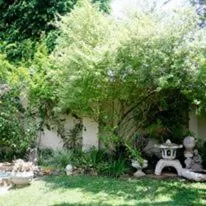 Garden view in 79 On Ridge