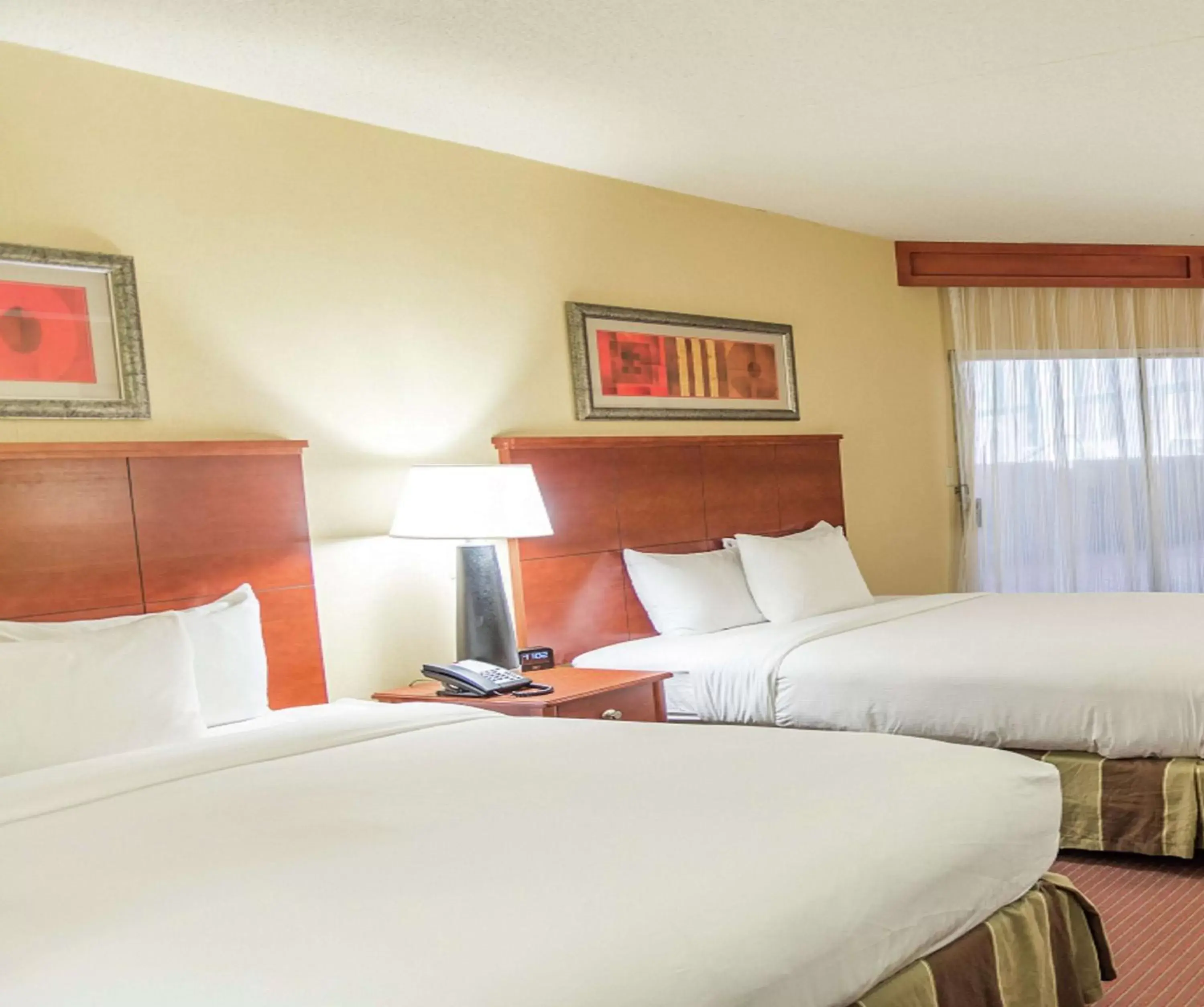 Queen Room with Two Queen Beds in DoubleTree by Hilton Holland Queen Room with Two Queen Beds in DoubleTree by Hilton Holland