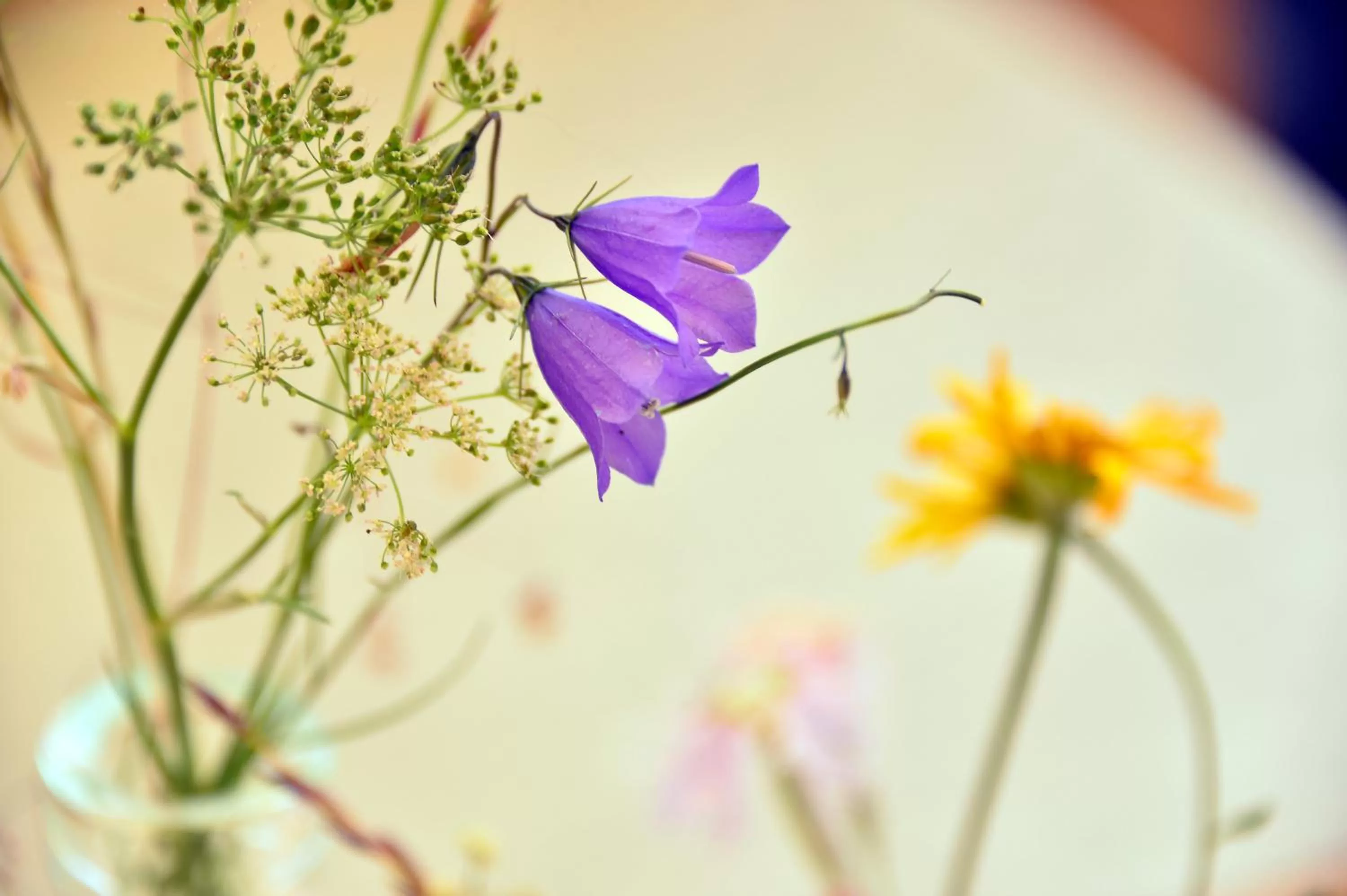 Restaurant/places to eat in Hotel Diana