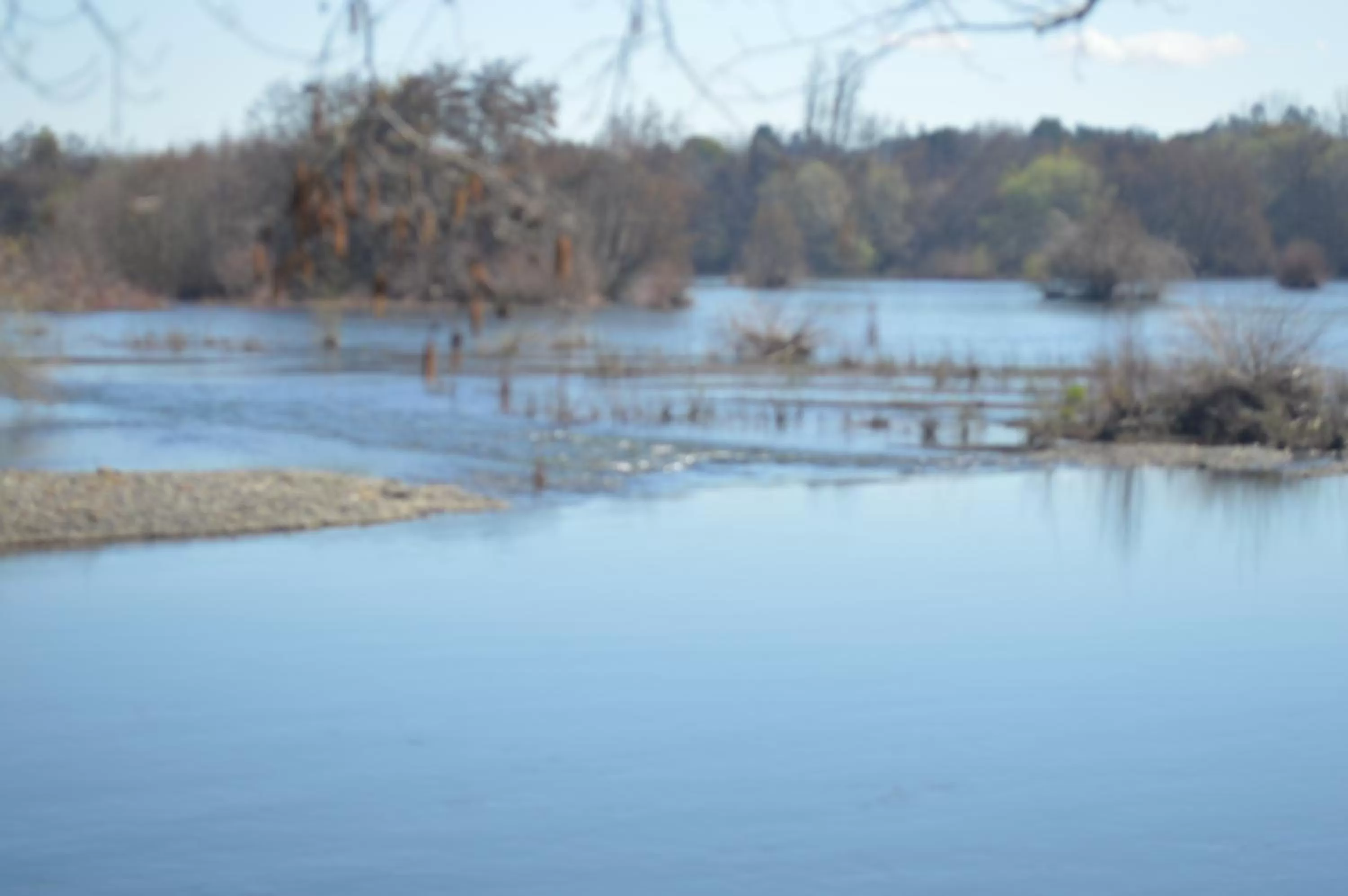 Coyunche Cabañas y Camping Laja & San Rosendo