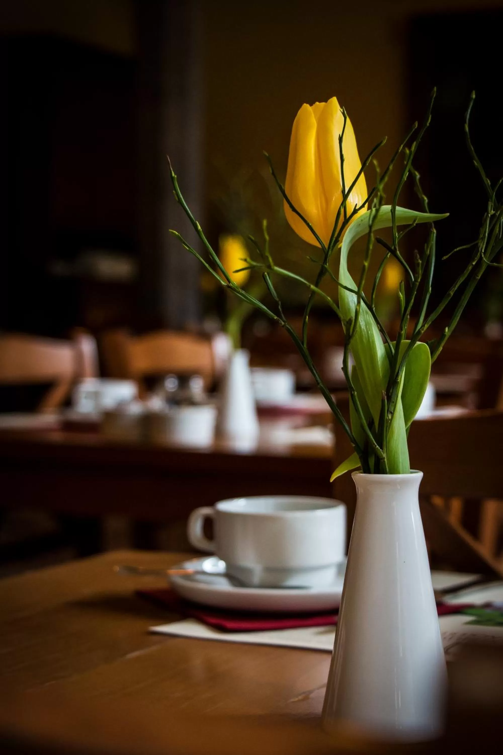 Decorative detail, Restaurant/Places to Eat in Guesthouse PoortAckere