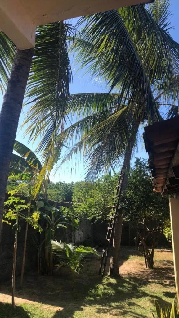 Garden in B&B Pedra do Meio