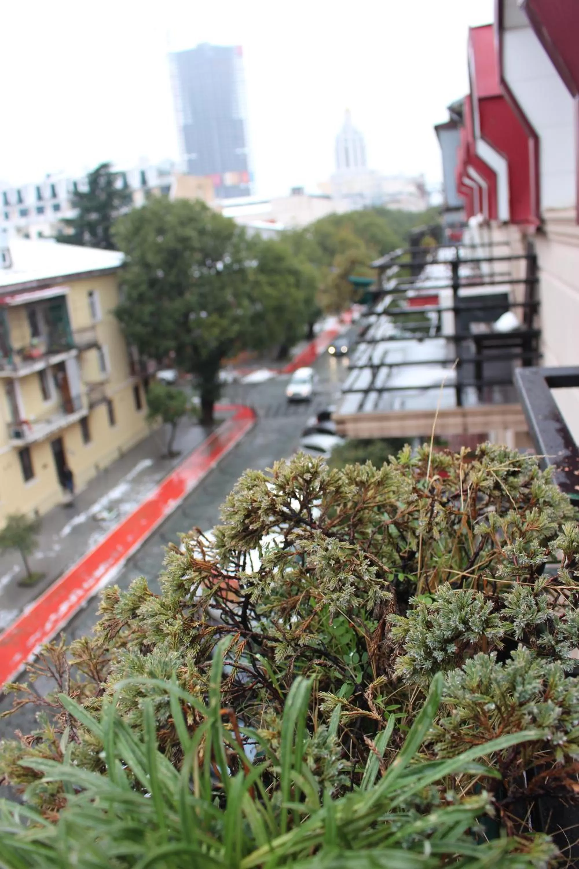 View (from property/room) in IRISE