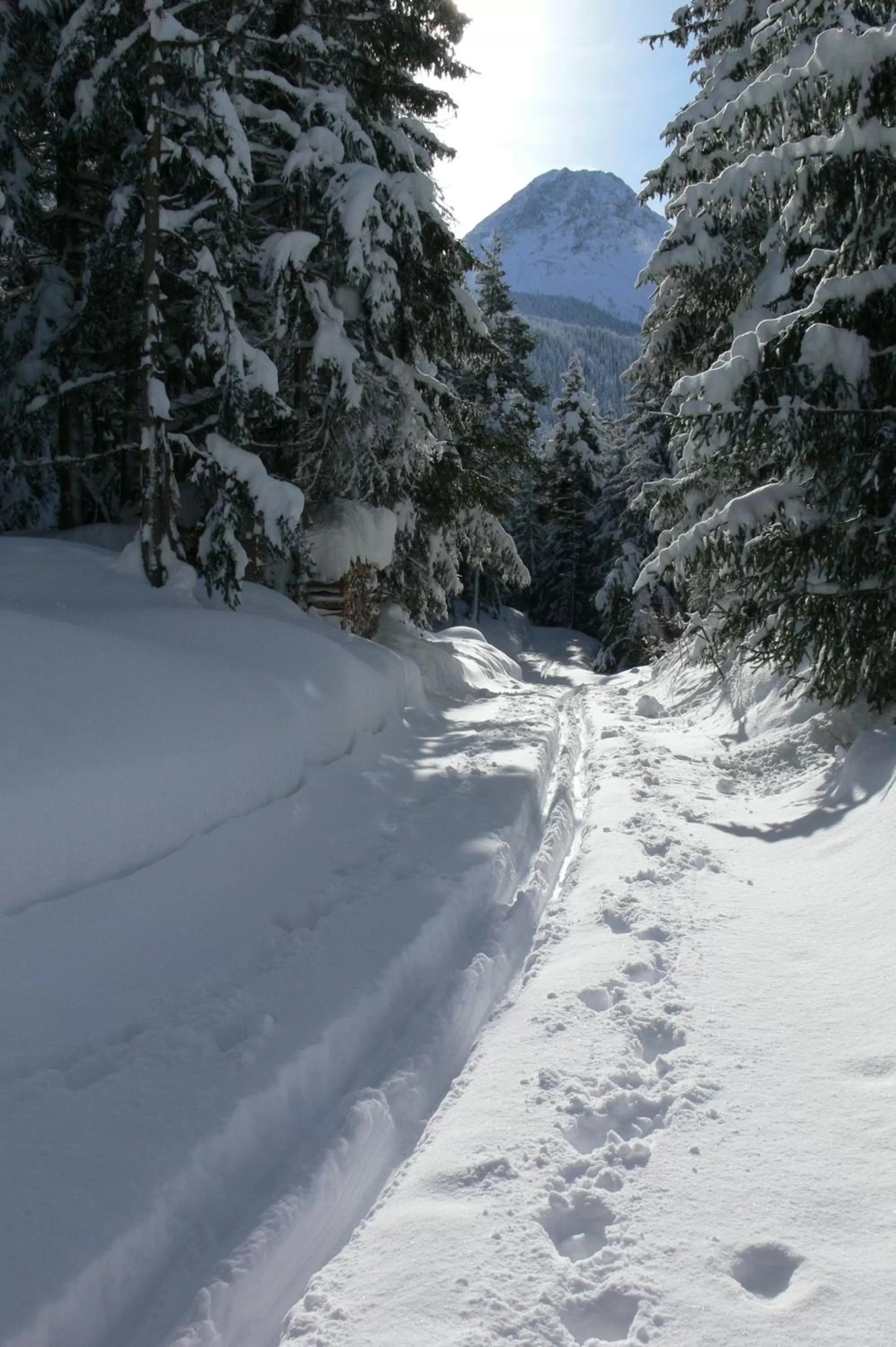 Winter in Alpengasthof Norbertshöhe Superior